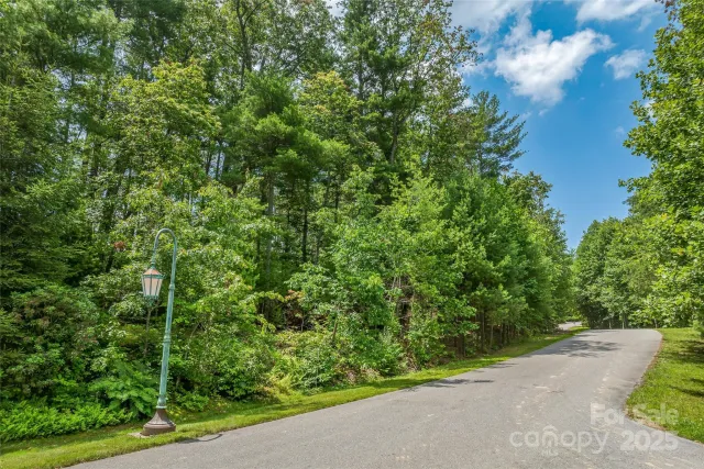 99999 Cedar Hill Drive, Biltmore Forest, NC, 28803