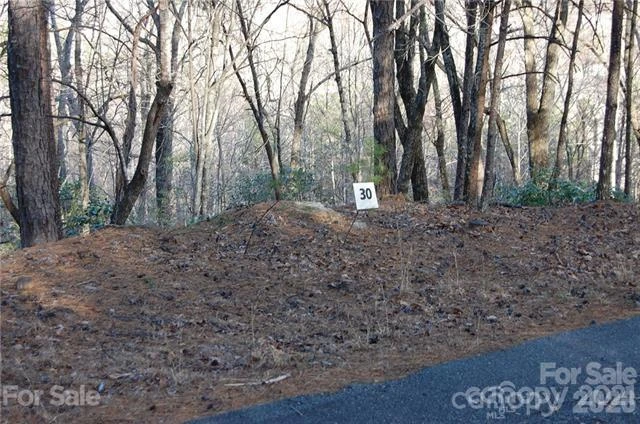 Lot 30 Summit Court #30 - Photo 4