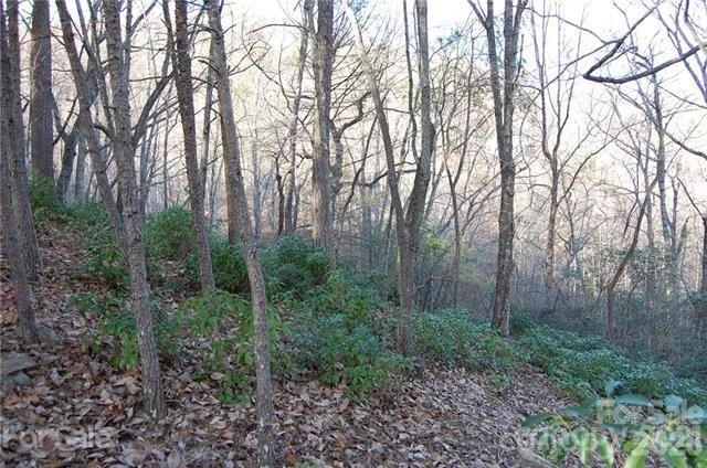 Lot 30 Summit Court #30 - Photo 6