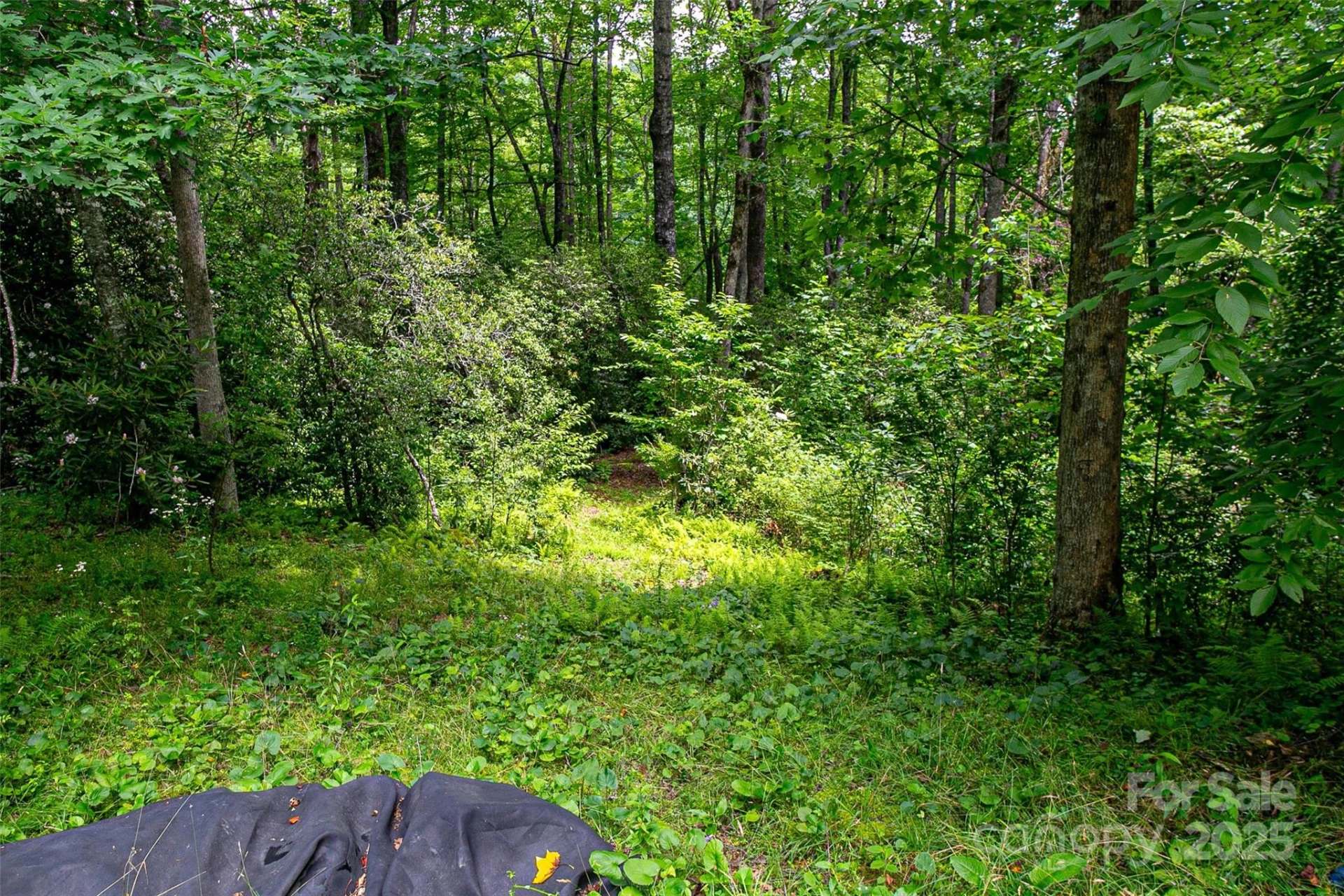 164 Horseplay Lane - Photo 3