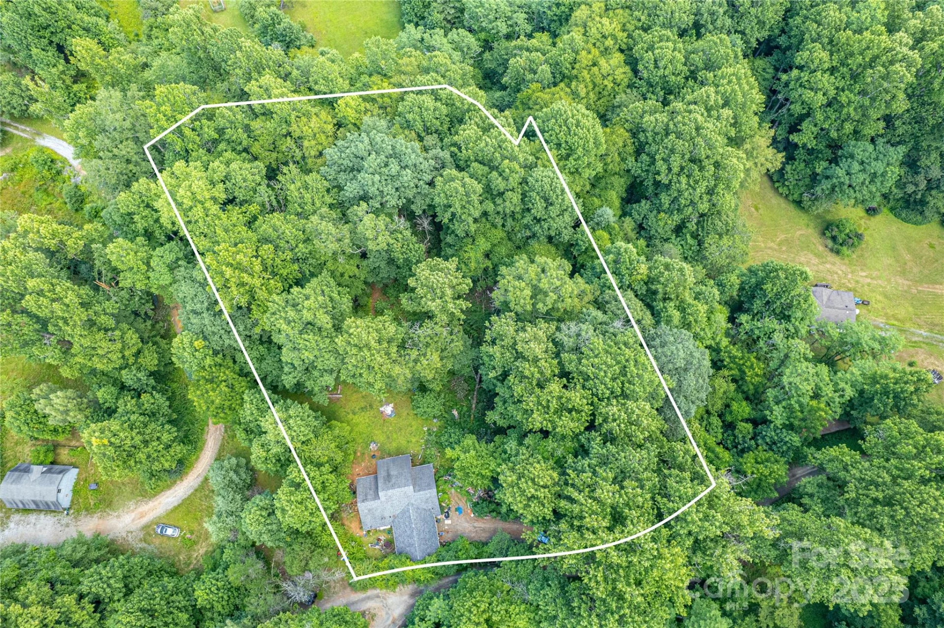 164 Horseplay Lane - Photo 5