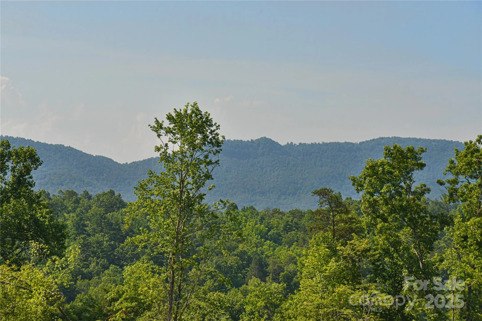 46 Honeycomb Drive - Photo 3