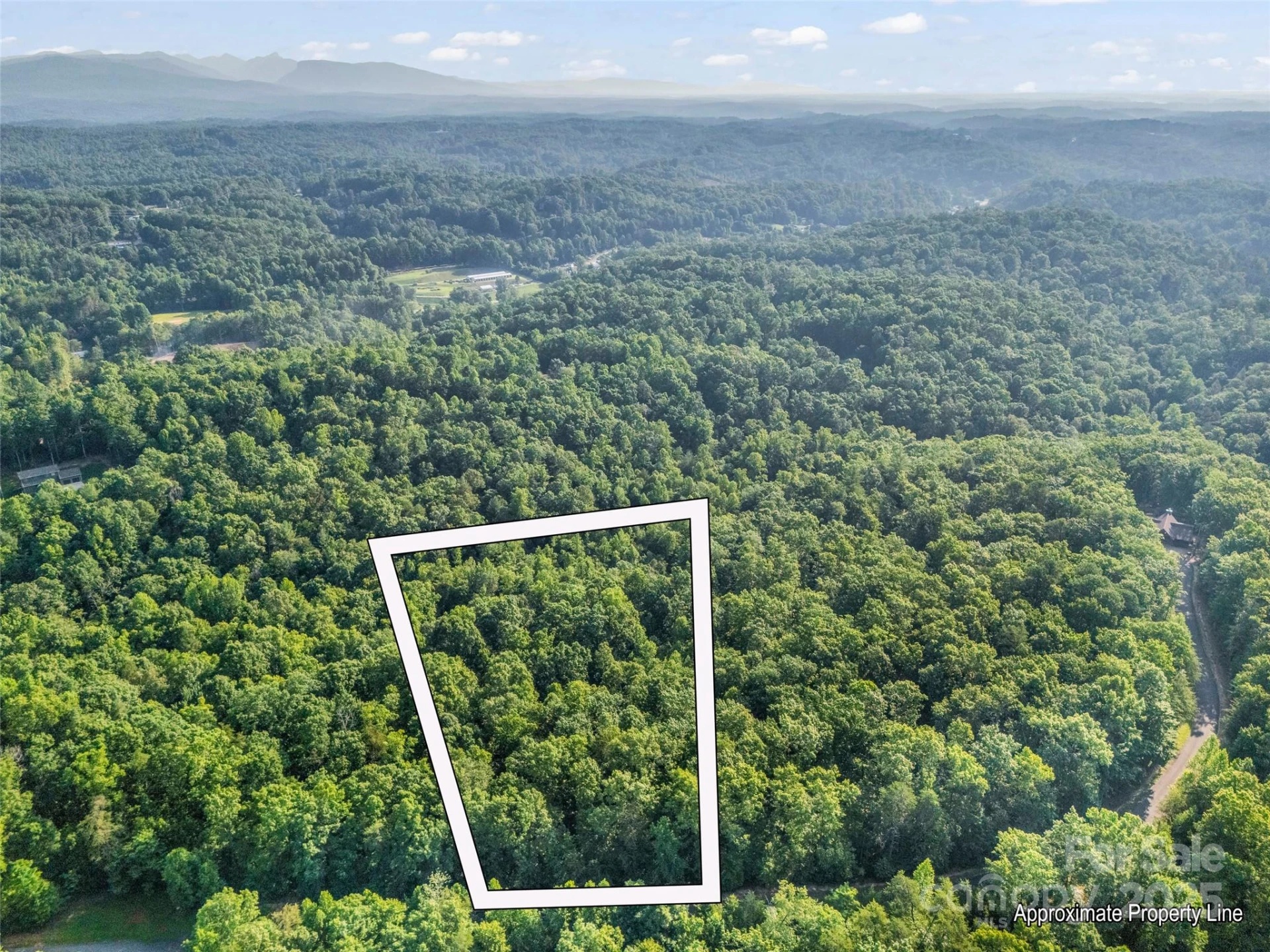0 Forest Country Drive #Lot 49 - Photo 2