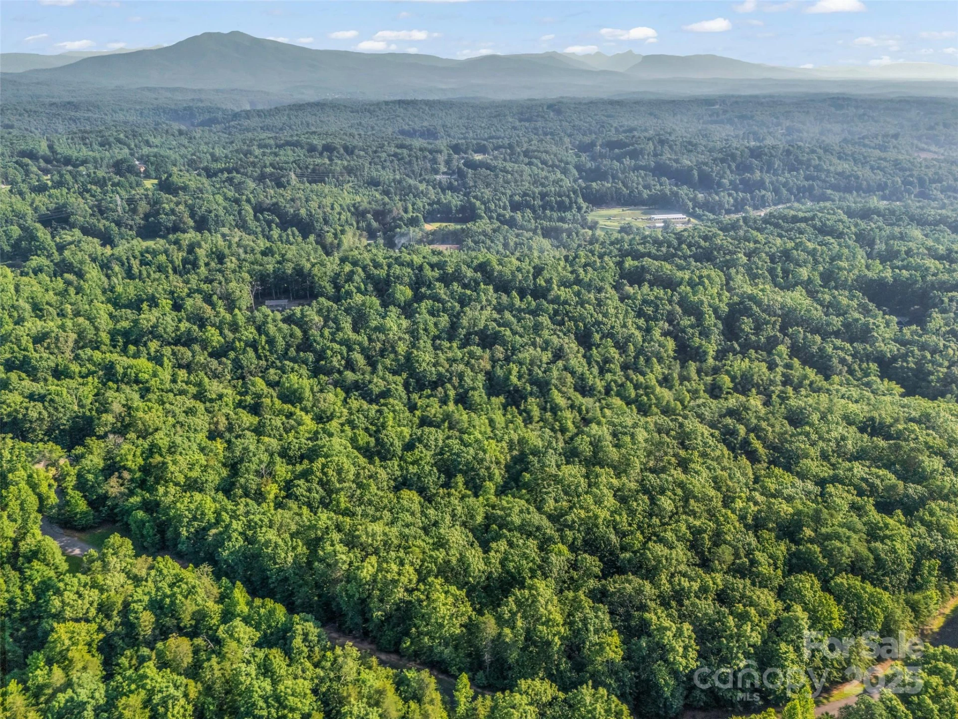 0 Forest Country Drive #Lot 49 - Photo 12
