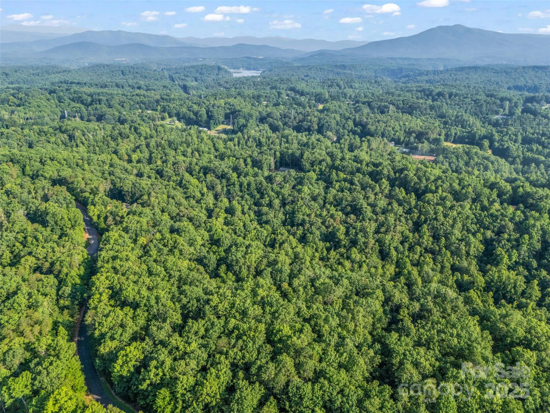 0 Forest Country Drive #Lot 49 - Photo 14