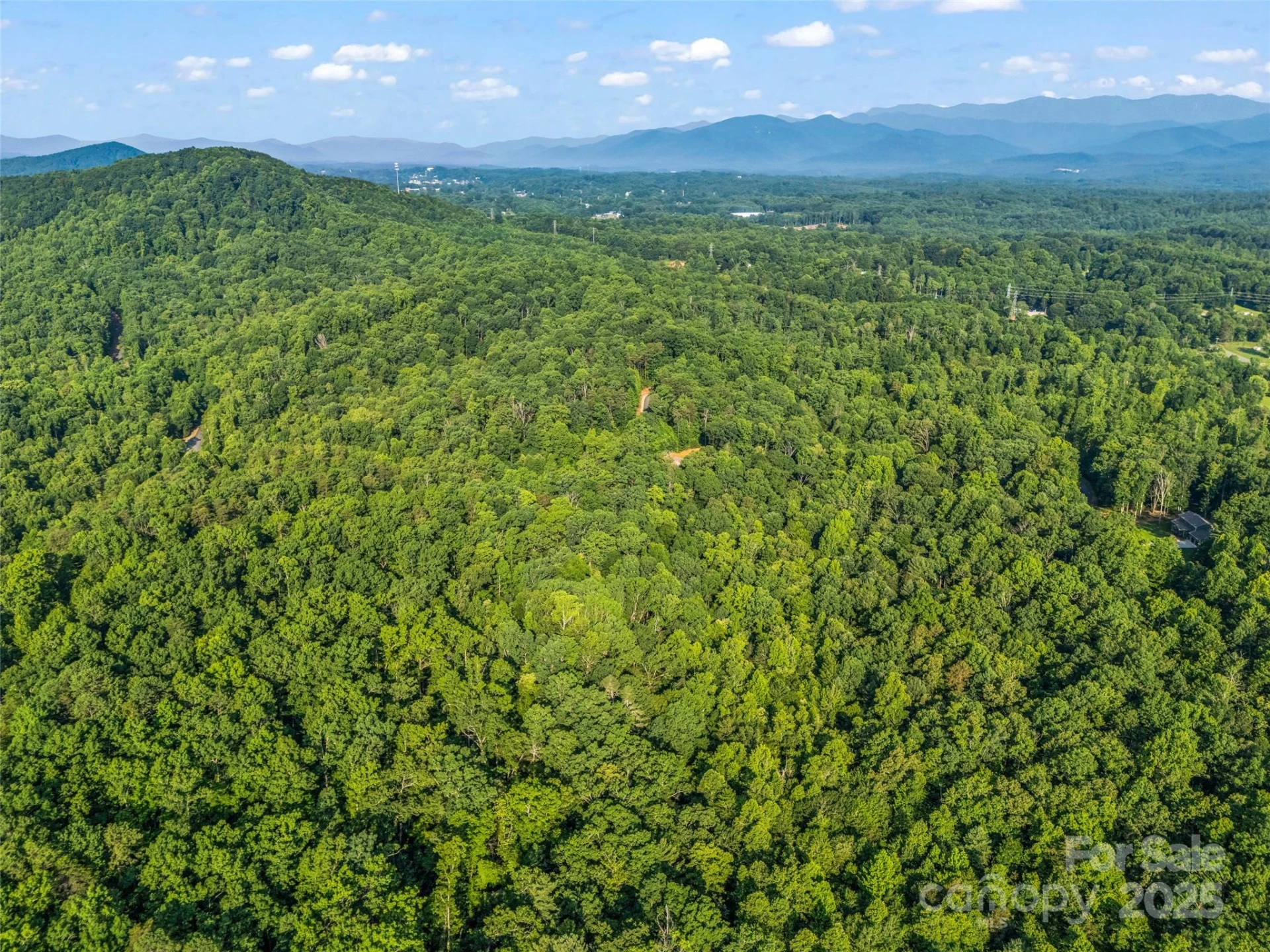 0 Forest Country Drive #Lot 49 - Photo 16