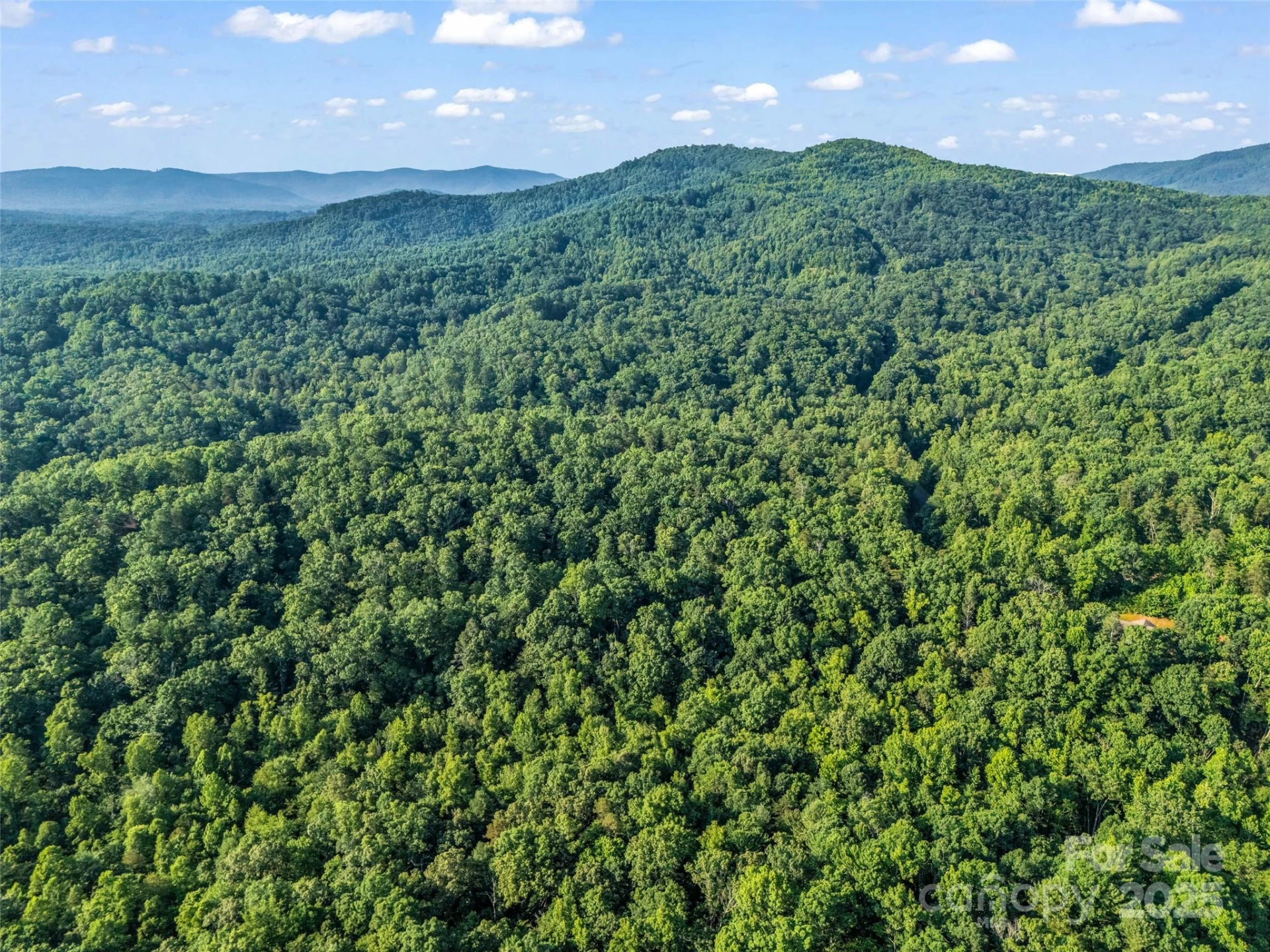 0 Forest Country Drive #Lot 49 - Photo 18