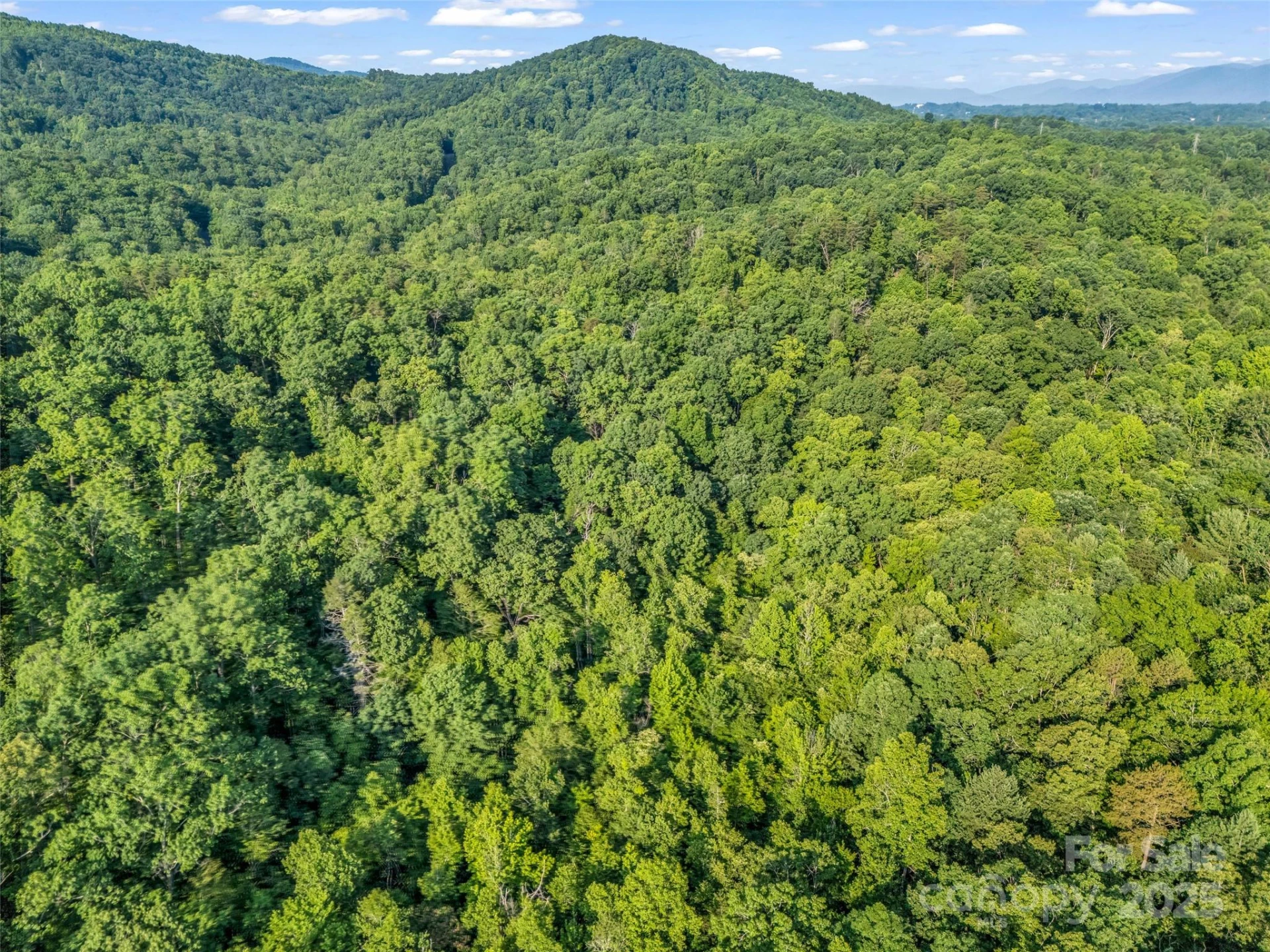 0 Forest Country Drive #Lot 49 - Photo 26