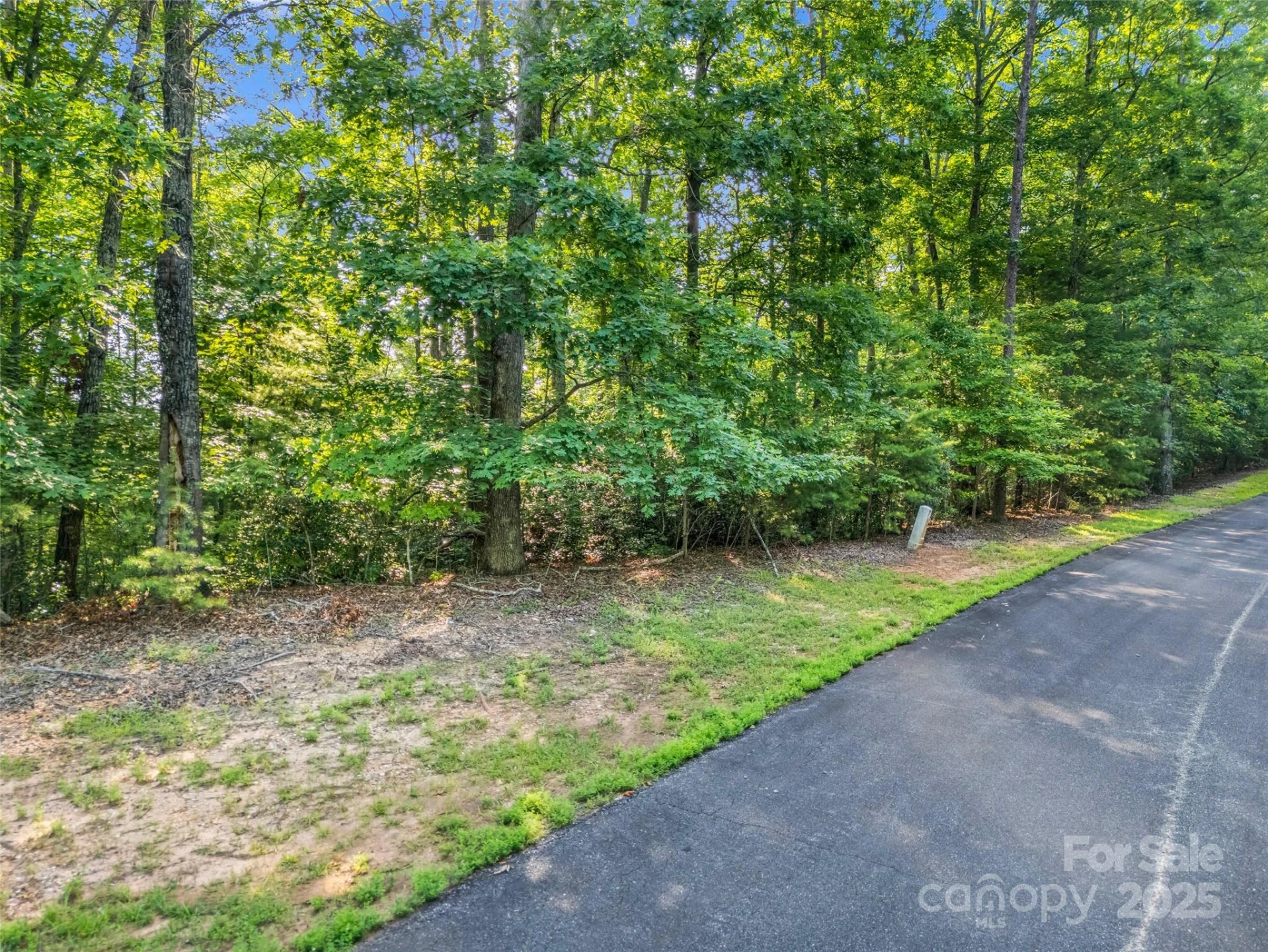 0 Forest Country Drive #Lot 49 - Photo 6