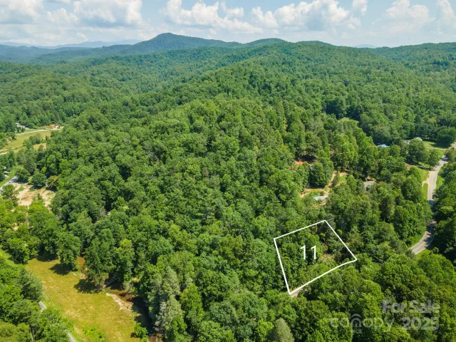 11 Roy Lane, Black Mountain, NC, 28711