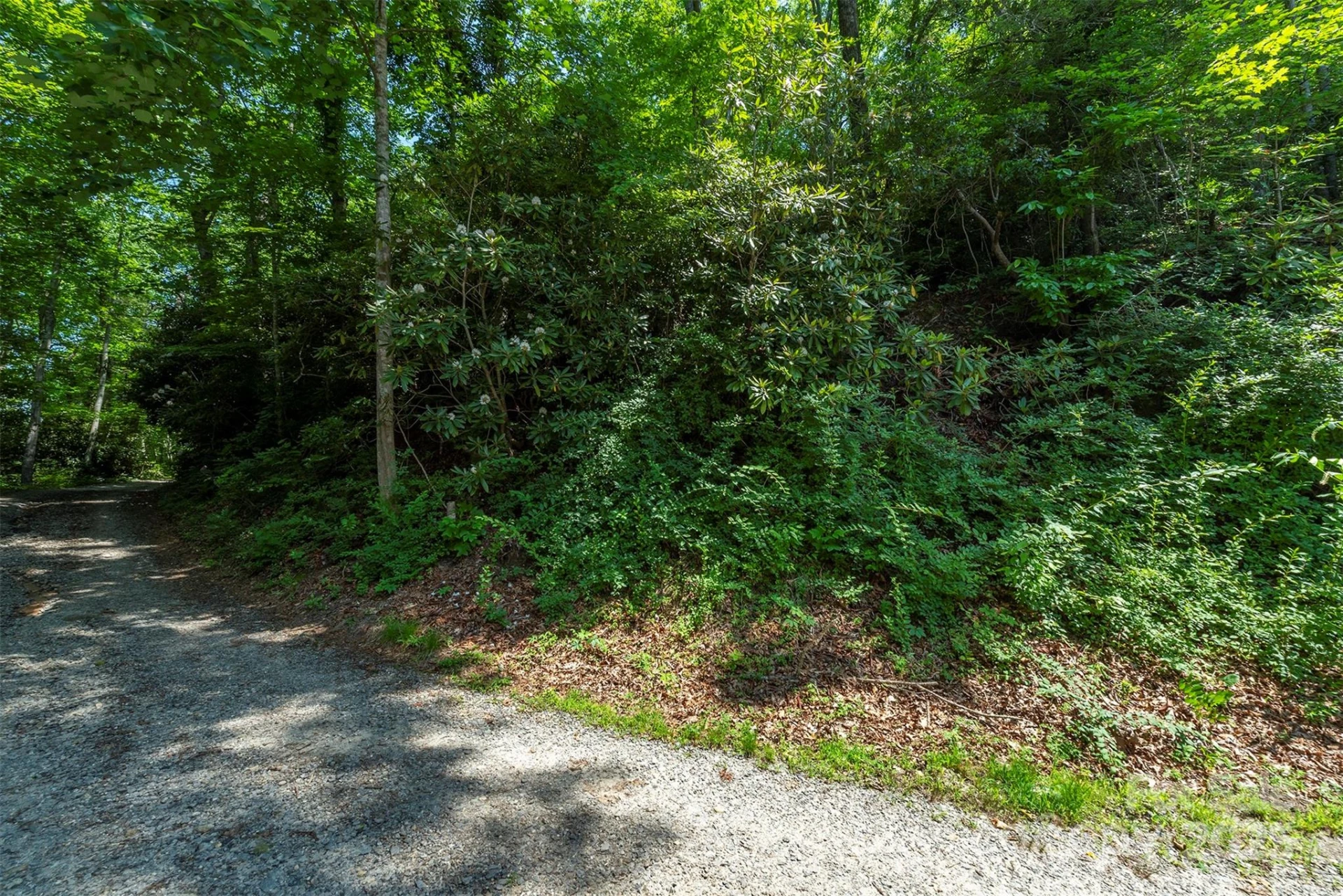 11 Roy Lane - Photo 7