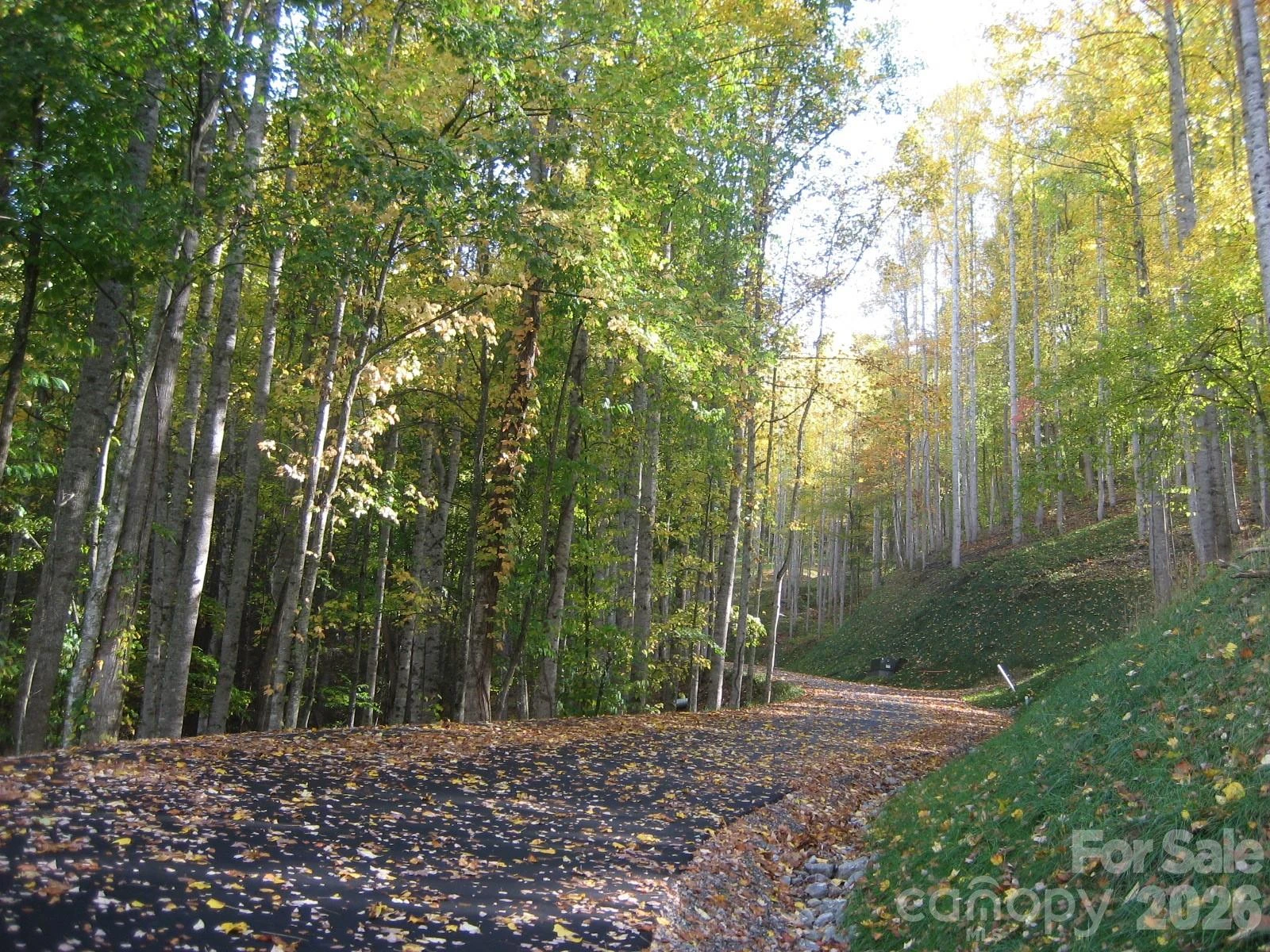 10 & 11 Katua Trail #10 & 11 - Photo 2