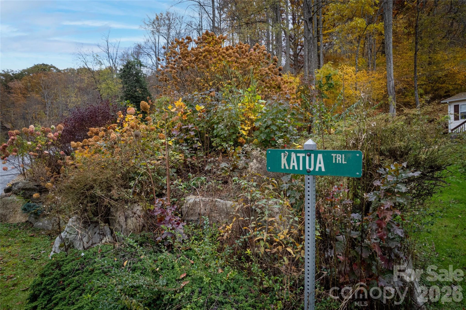 10 & 11 Katua Trail #10 & 11 - Photo 3
