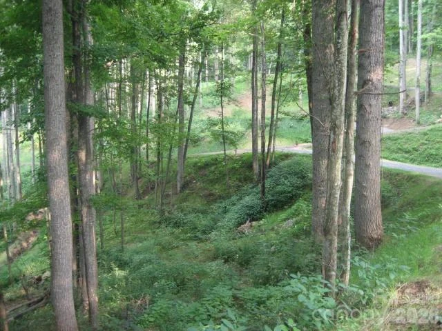10 & 11 Katua Trail #10 & 11 - Photo 7