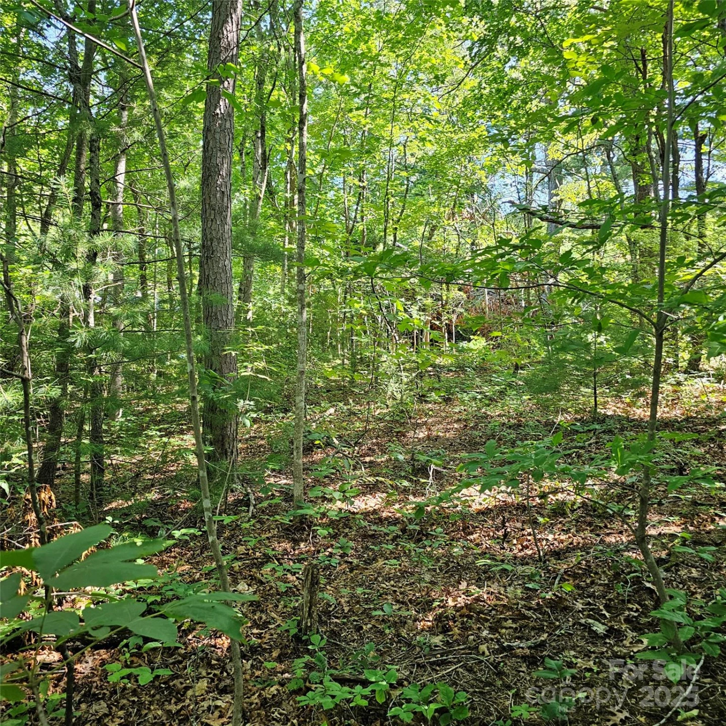 99999 Campground Road - Photo 3