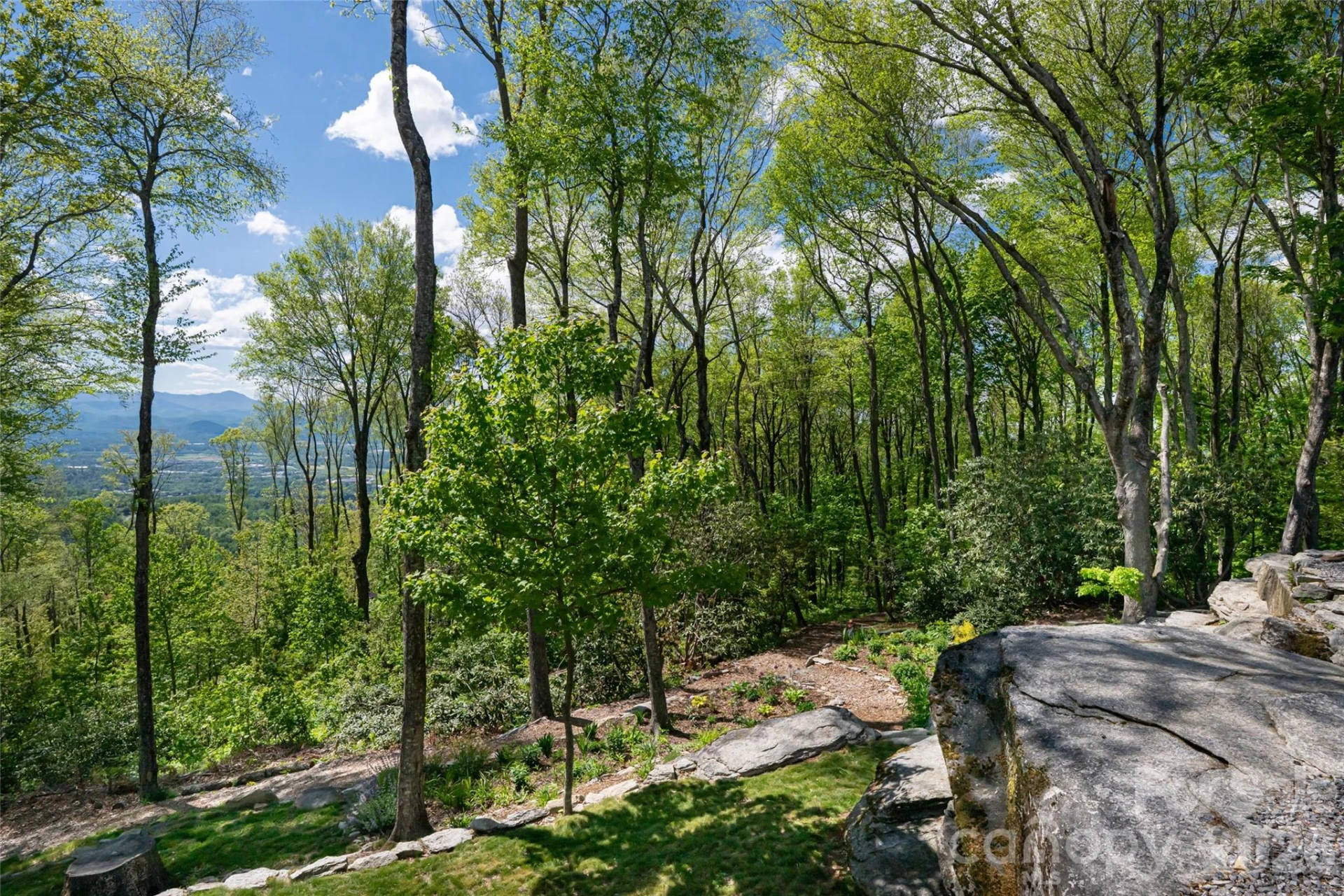 000 Laurel Ledge Way #23 - Photo 6