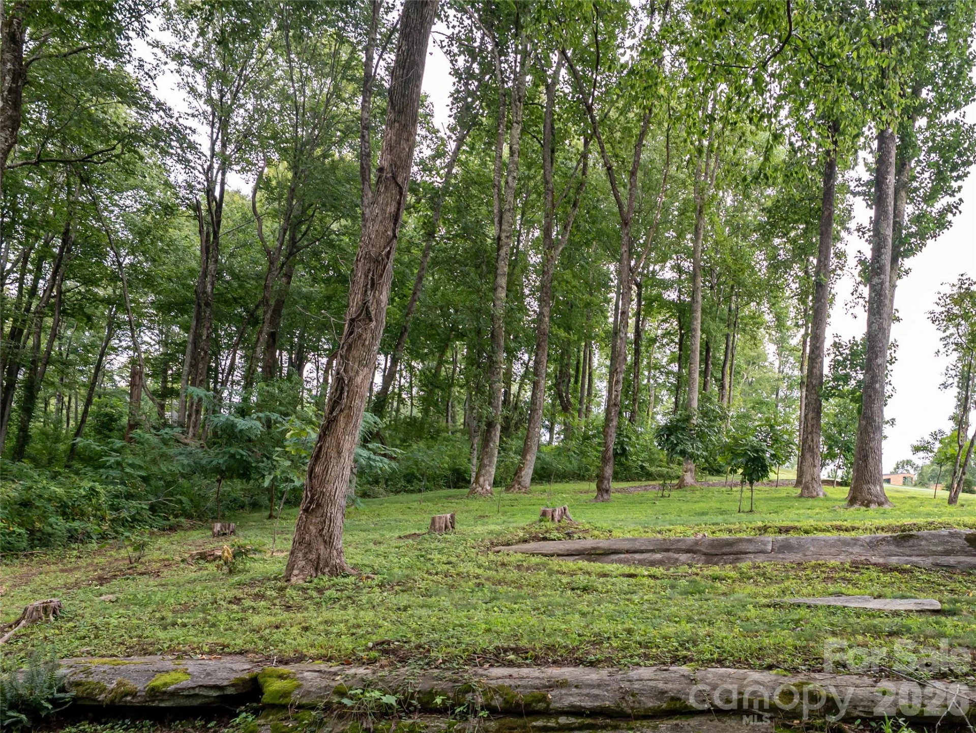 000 Laurel Ledge Way #23 - Photo 5