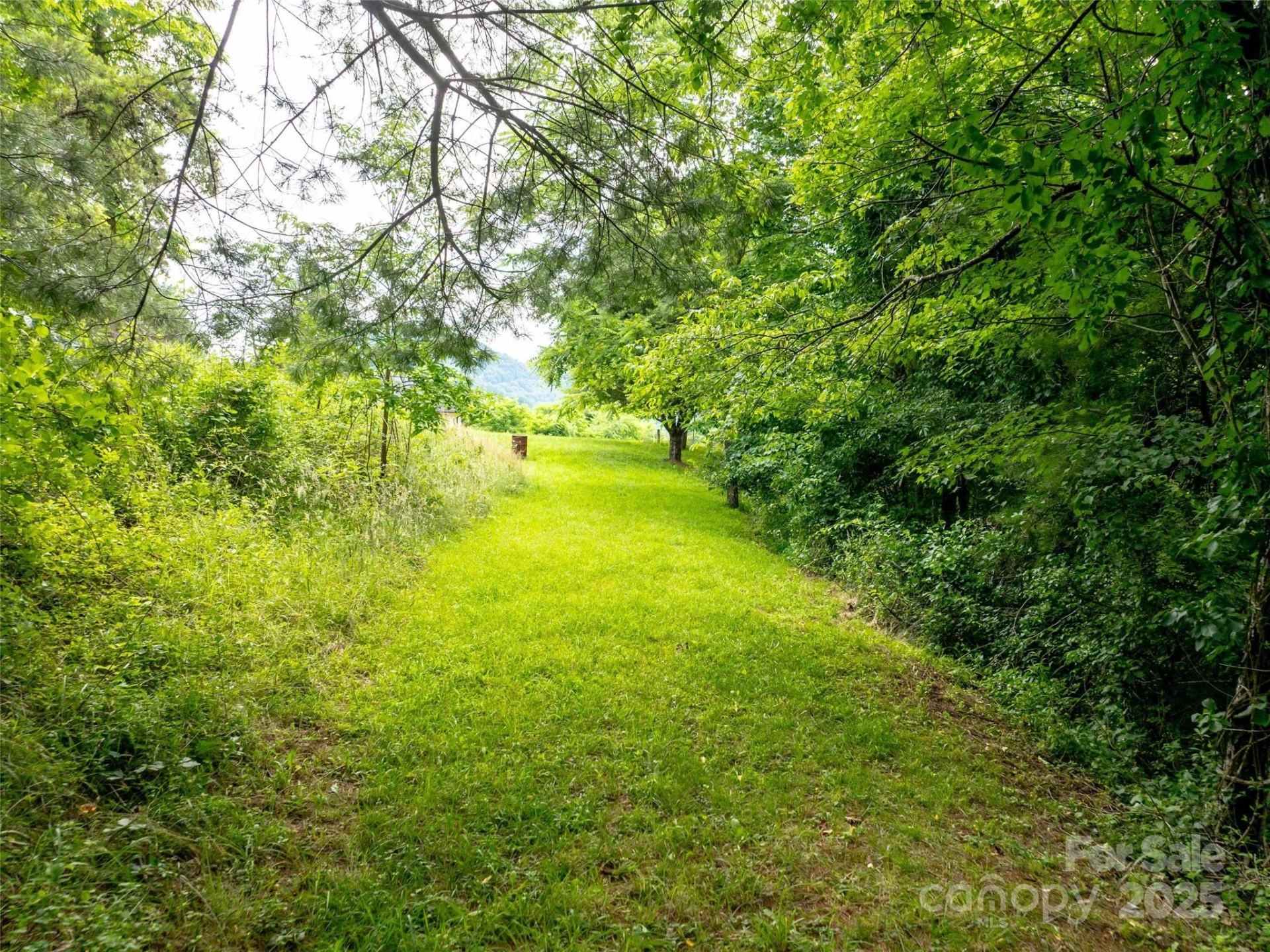 40 Sedgefield Place - Photo 7