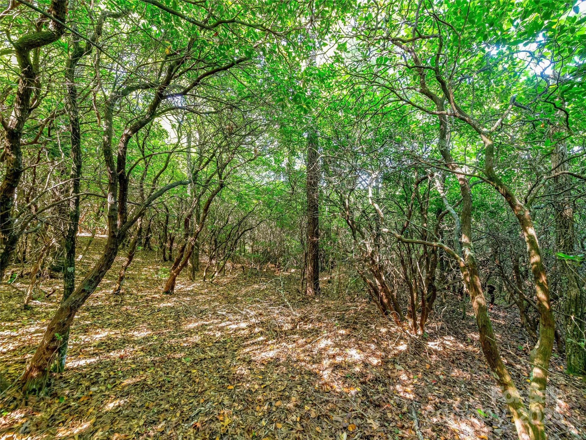 TBD Quartz Mine Road - Photo 14