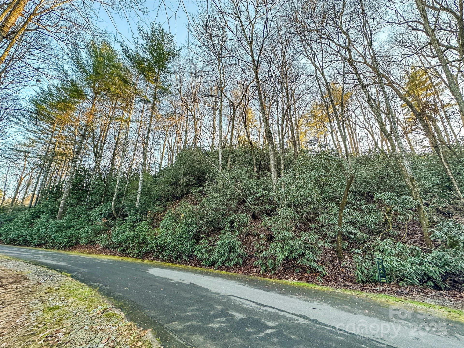D17 Caroline Lane - Photo 2