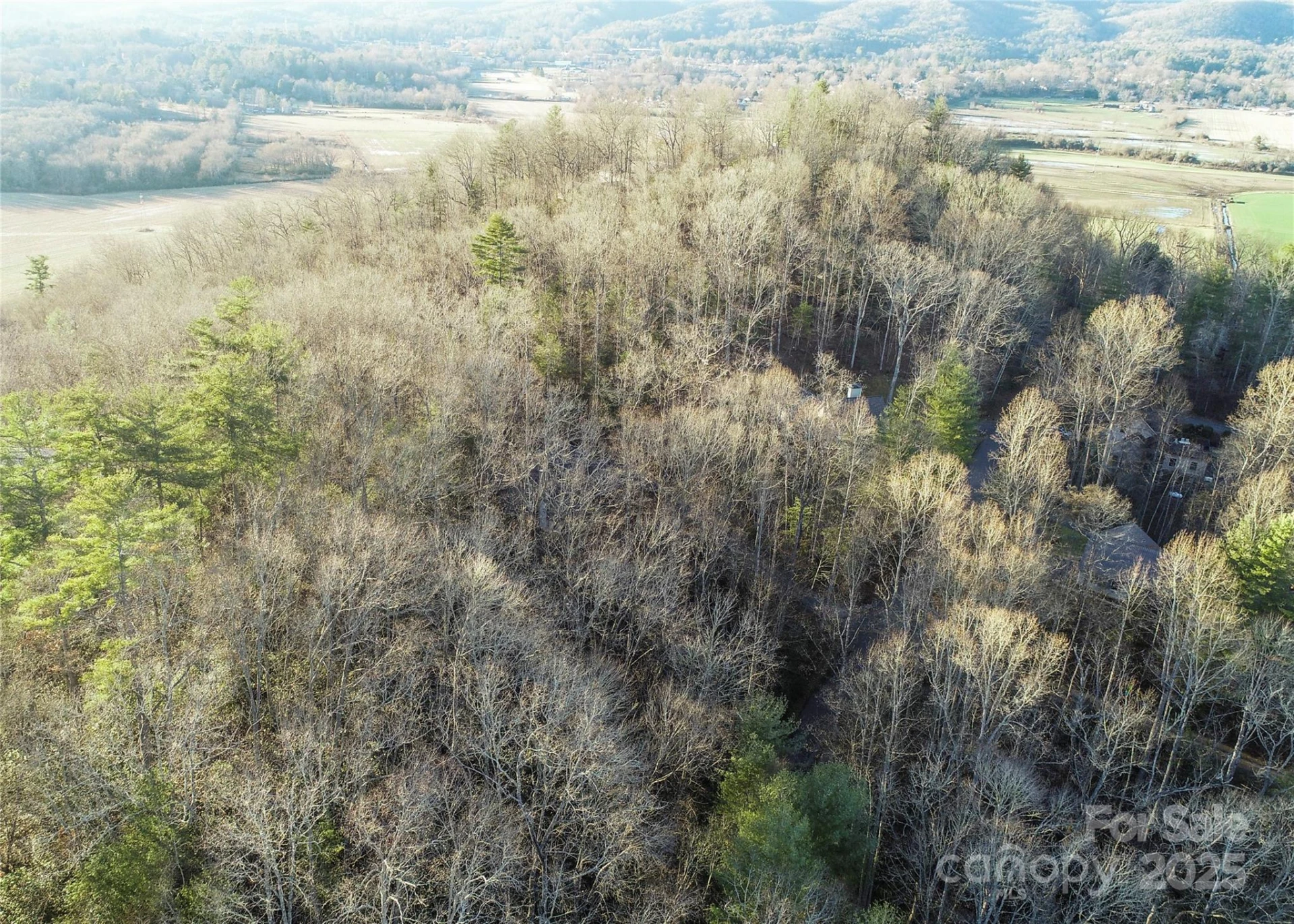D17 Caroline Lane - Photo 3