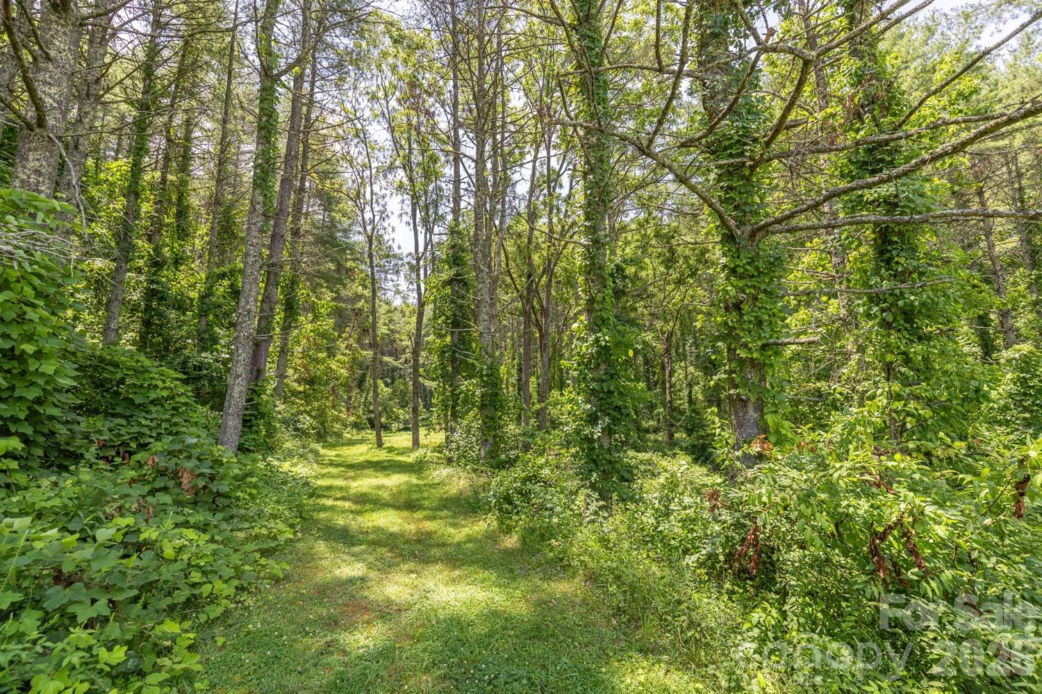 160 Mclean Road - Photo 20