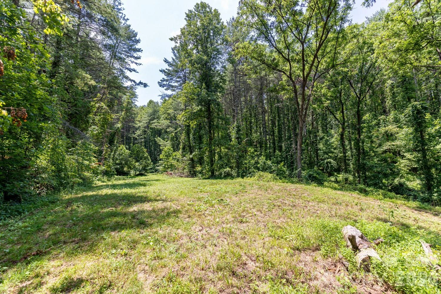 160 Mclean Road - Photo 7