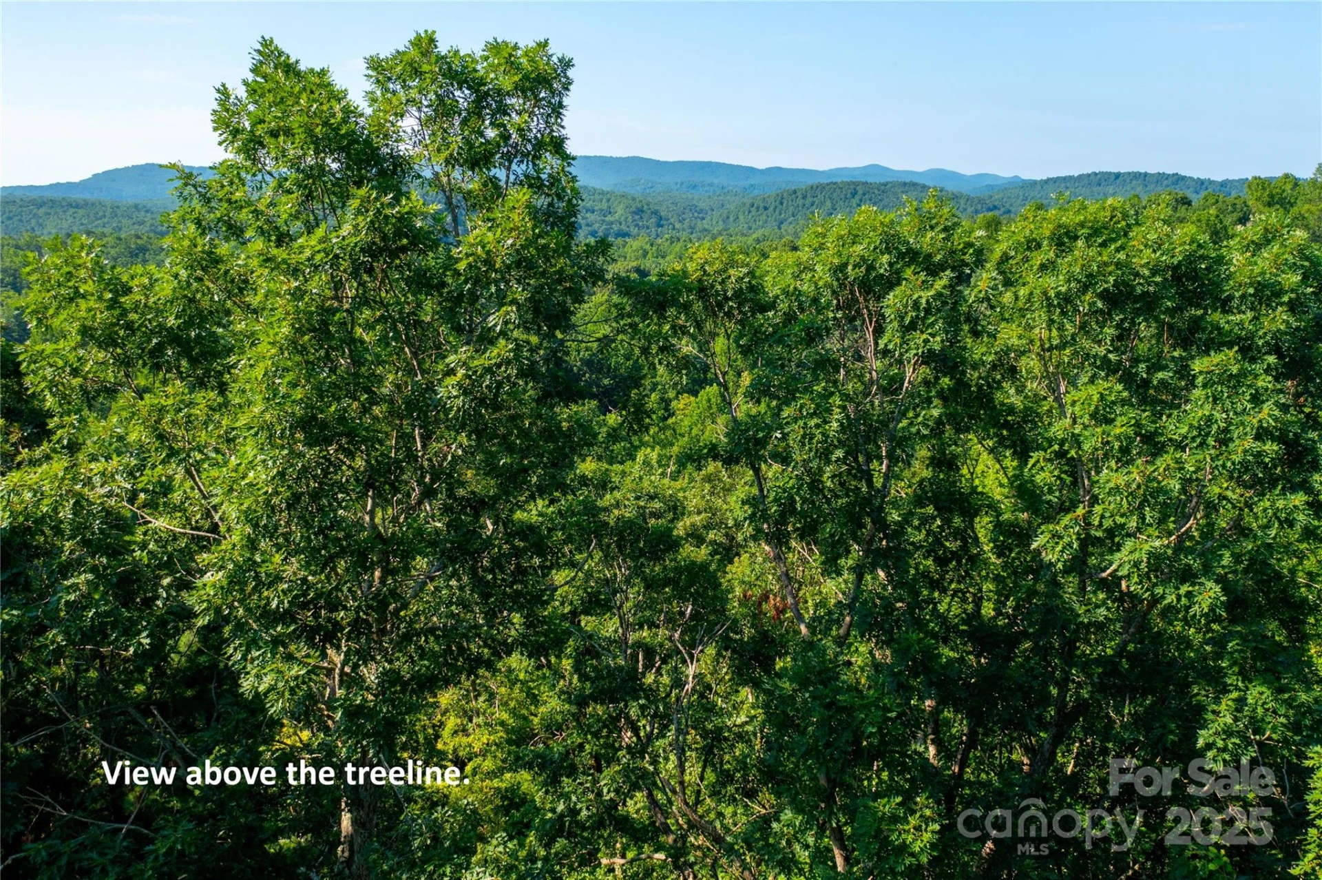 00 Glen Echo Circle - Photo 7