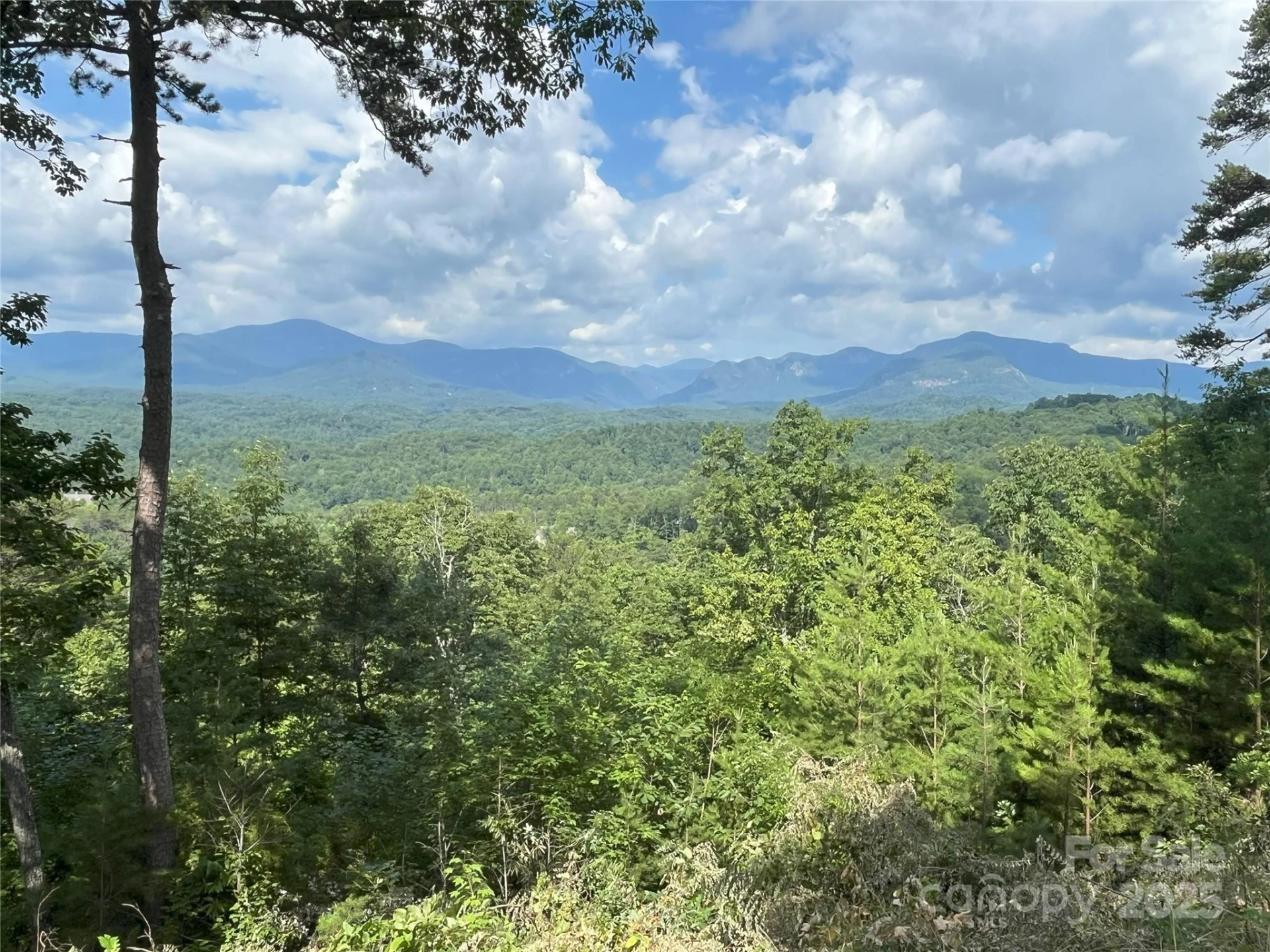 00 Bills Mountain Trail #6