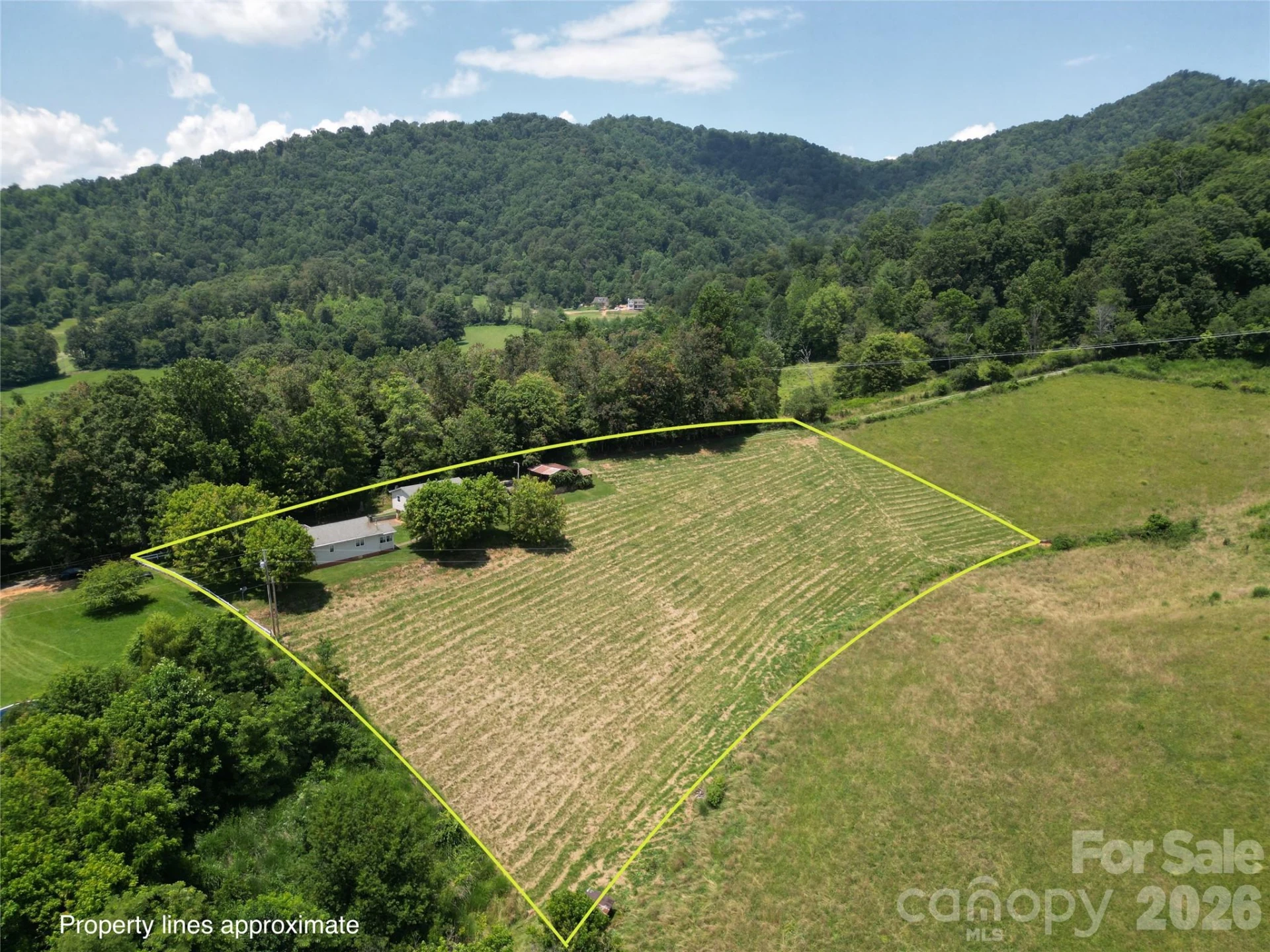560 Bailey Mountain Road - Photo 3