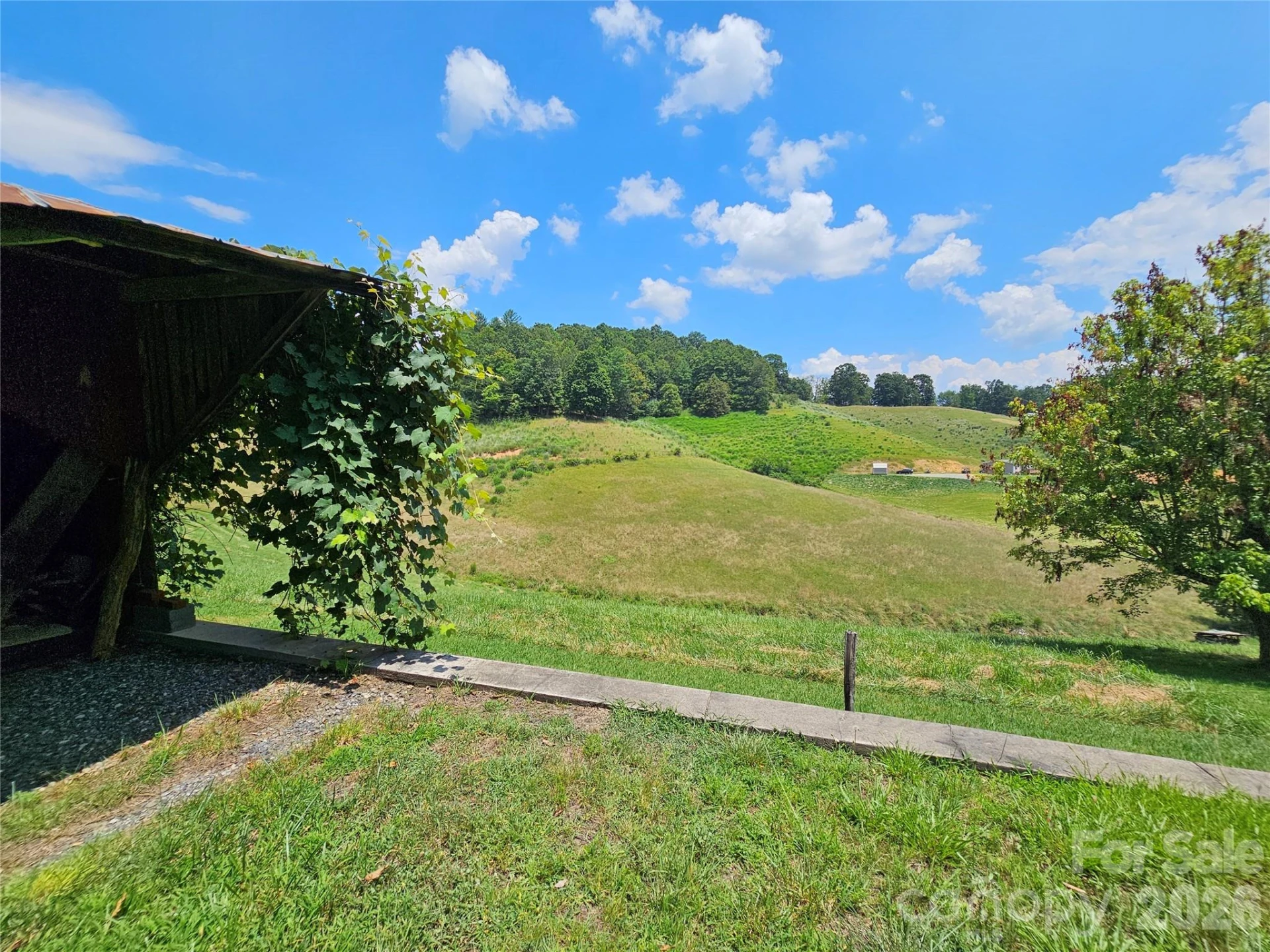 560 Bailey Mountain Road - Photo 9
