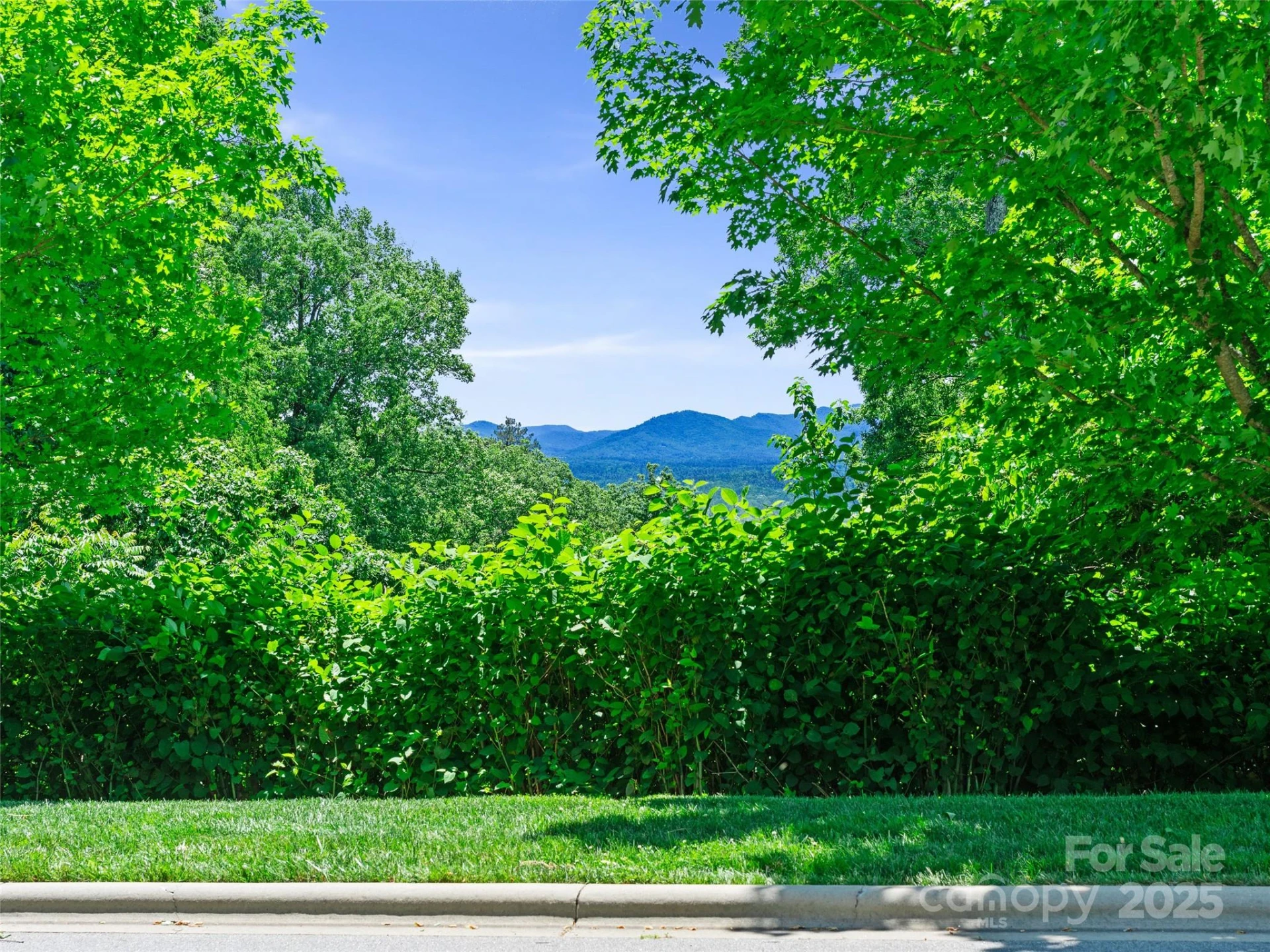 44 Samuel Ashe Drive #55 - Photo 21