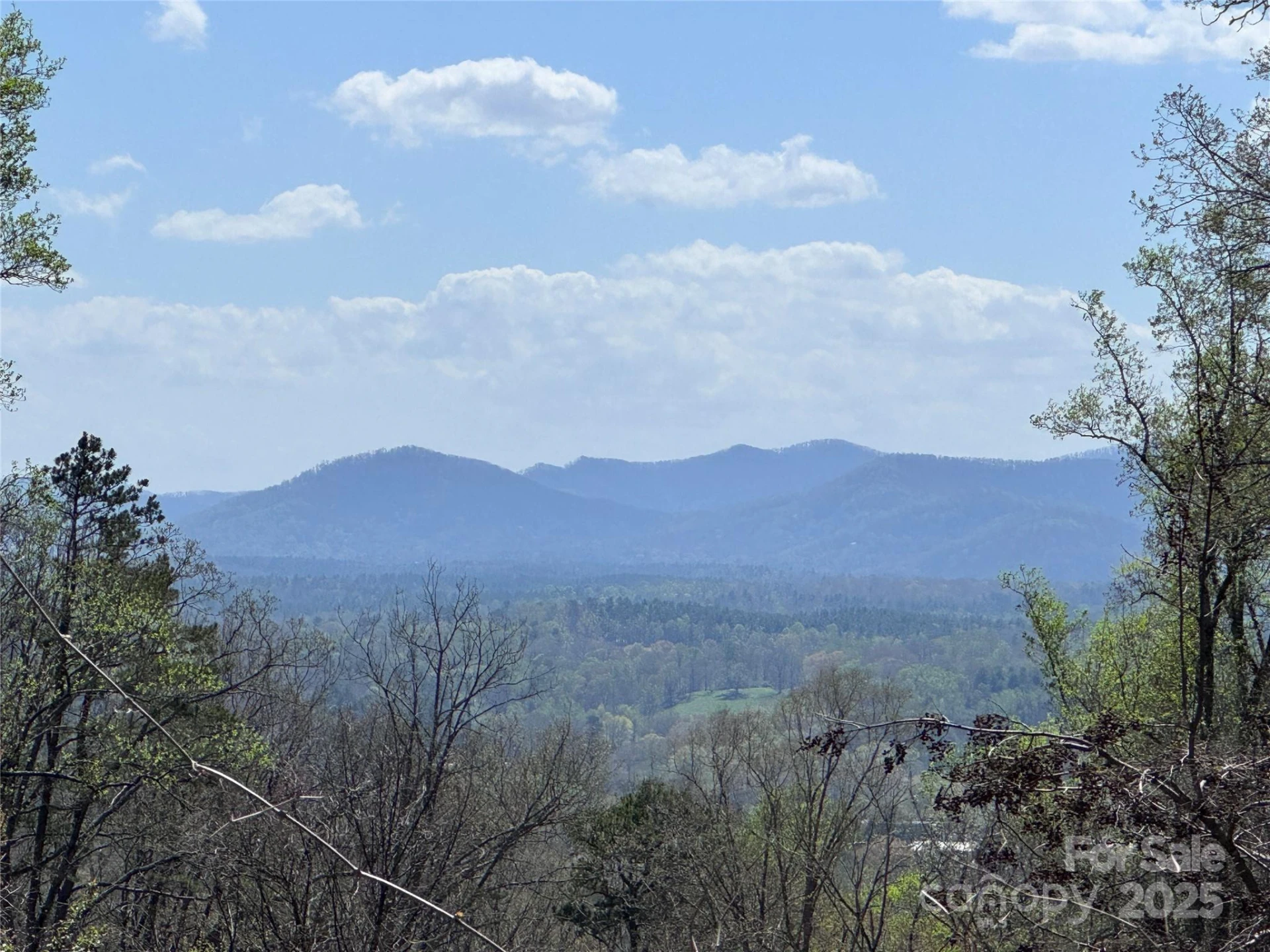 44 Samuel Ashe Drive #55 - Photo 5