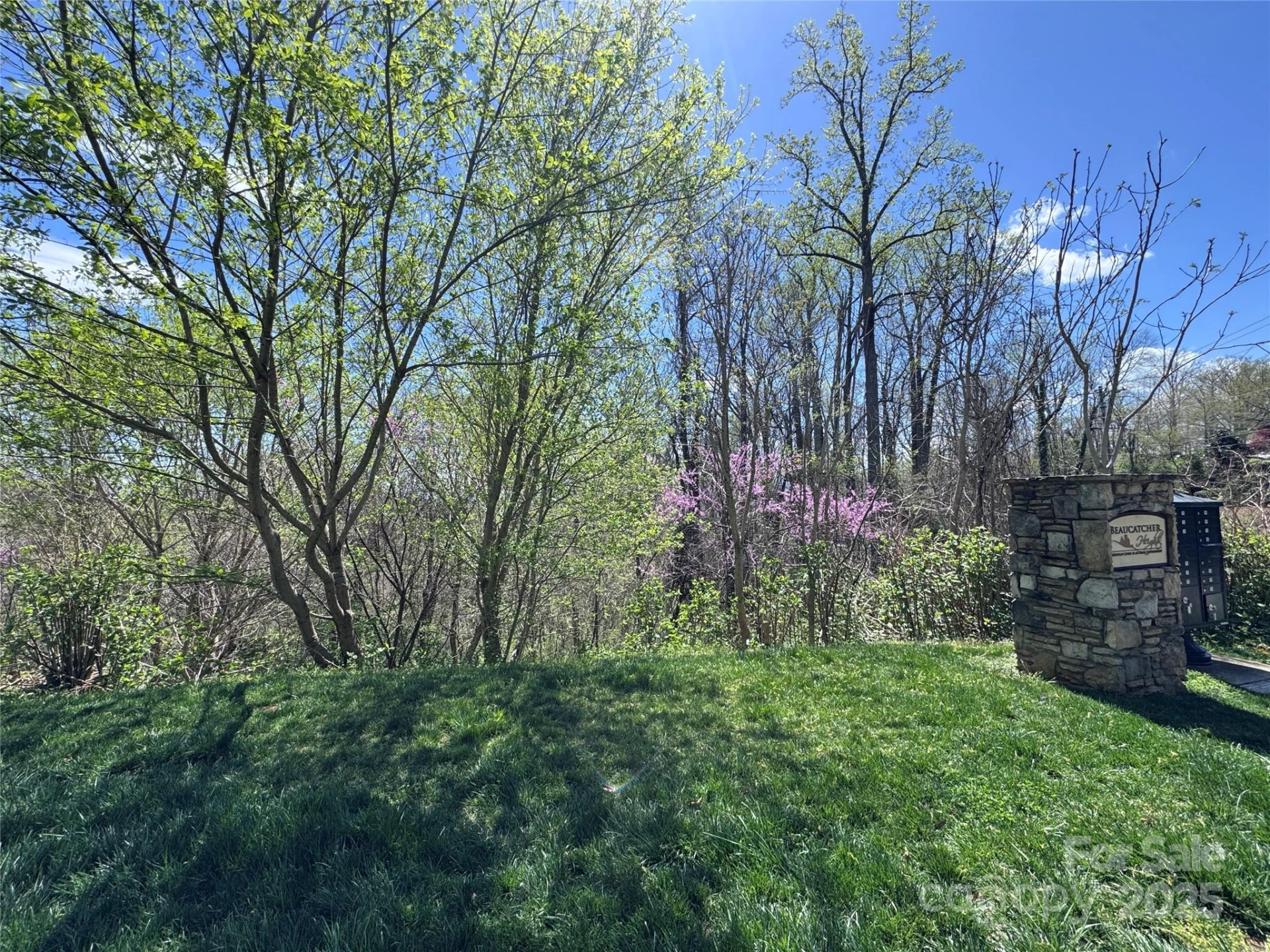 44 Samuel Ashe Drive #55 - Photo 8