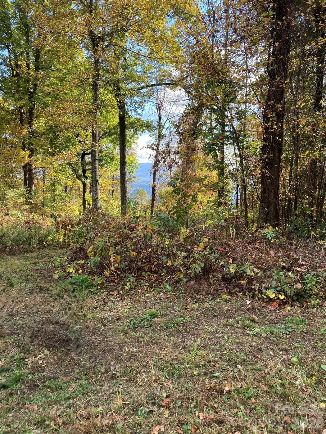 2523 Creston Drive #T-24 - Photo 3