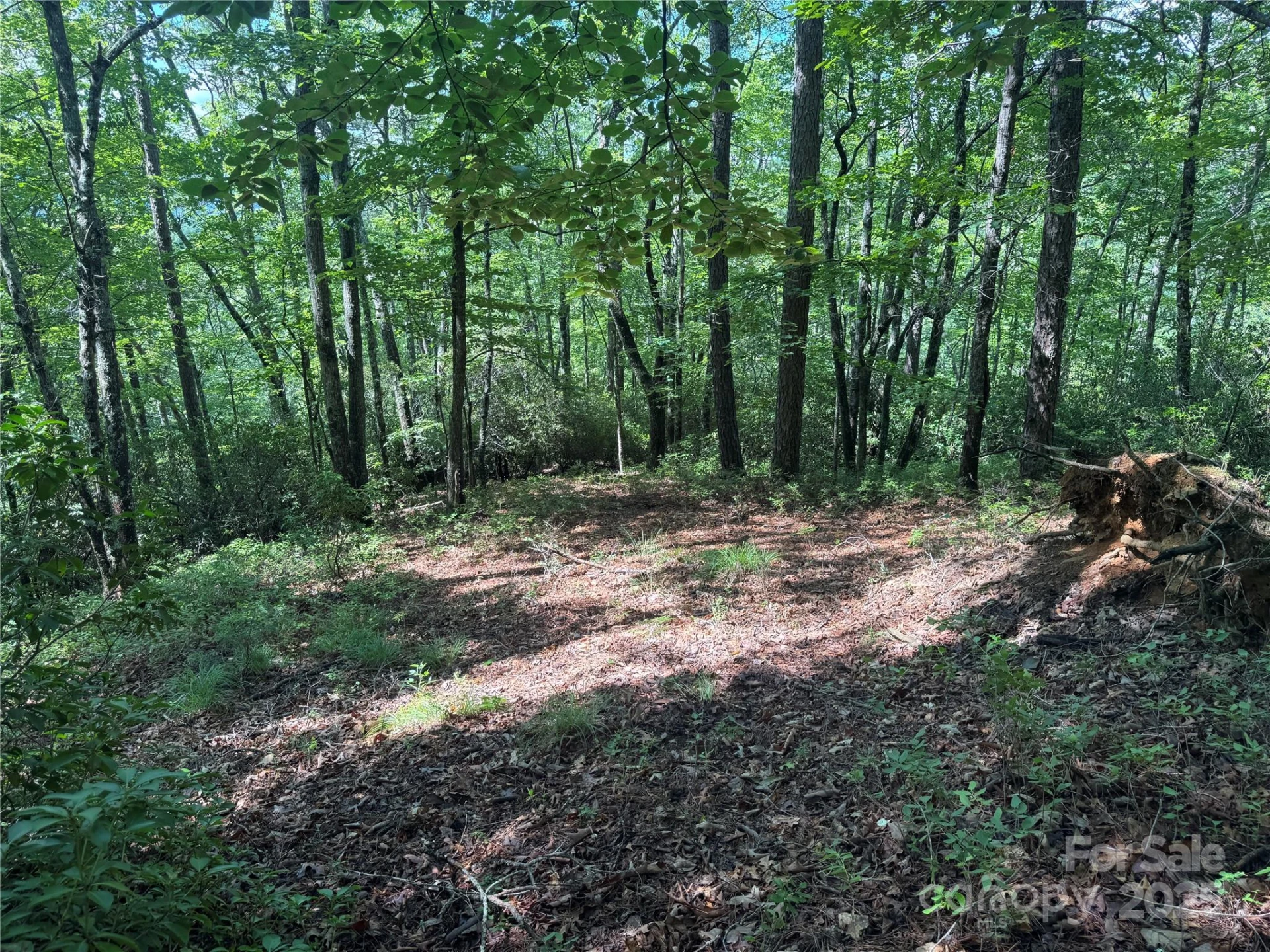 999 Ivy Lane - Photo 12