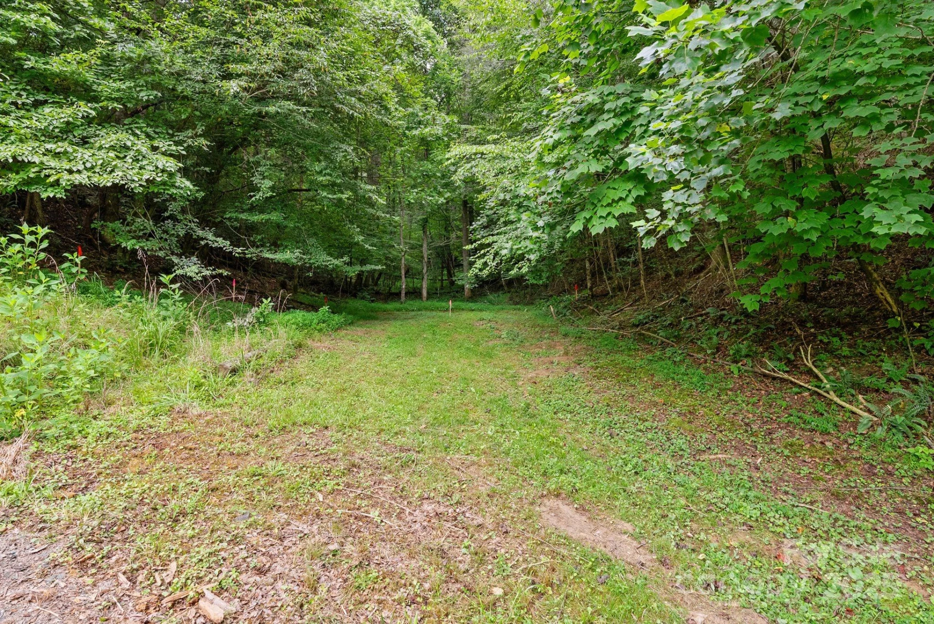 530 Rebel Ridge Road - Photo 32