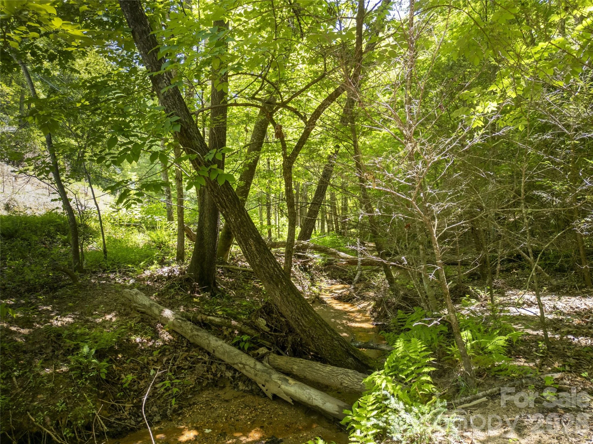 Lot322 Hawks Terrace - Photo 6