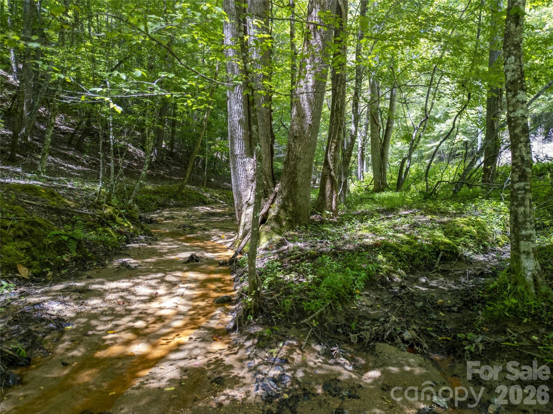 Lot322 Hawks Terrace - Photo 9