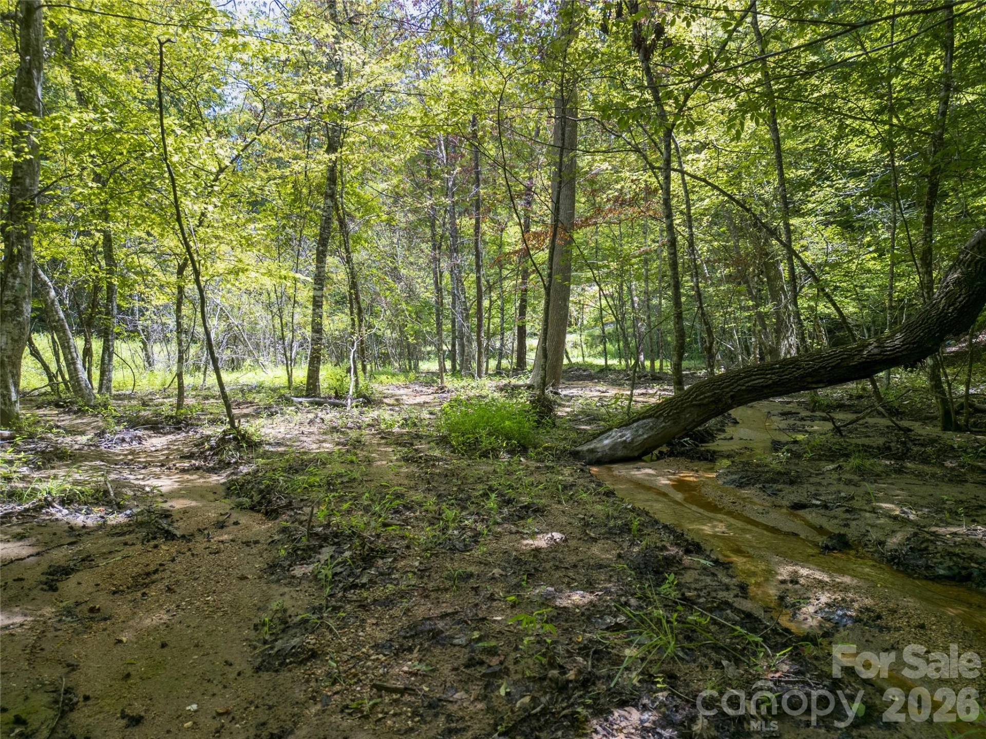 Lot322 Hawks Terrace - Photo 10