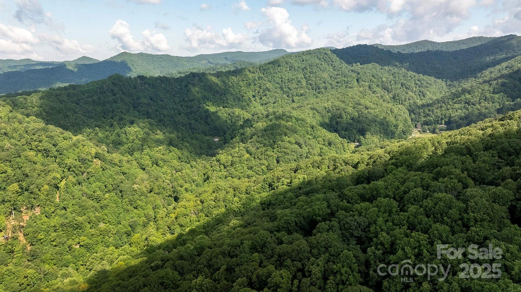 1710 Roaring Fork Road - Photo 12