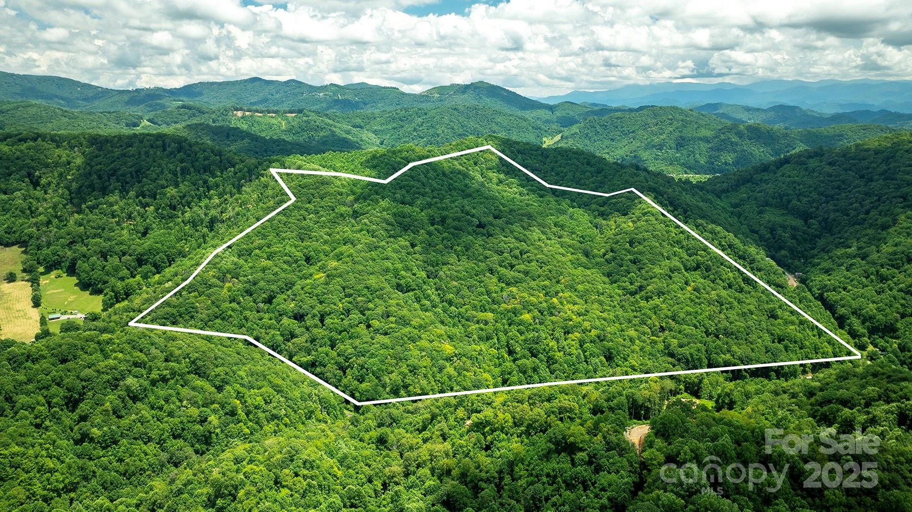 1710 Roaring Fork Road - Photo 19