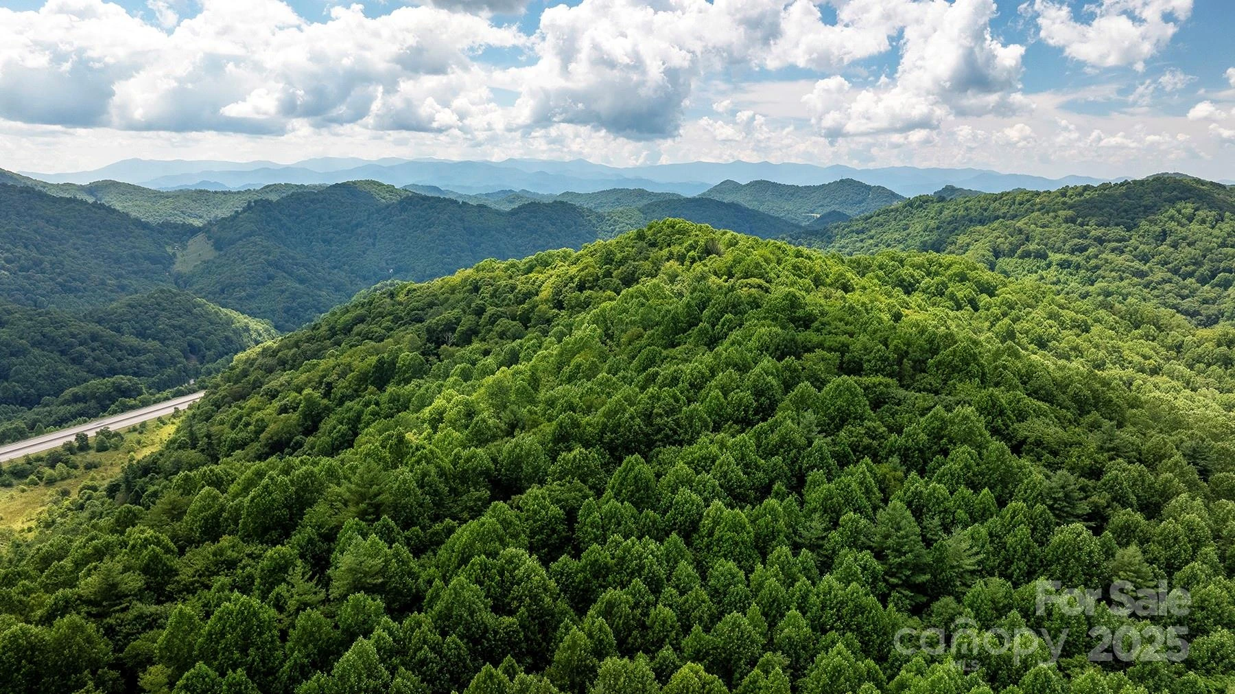 1710 Roaring Fork Road - Photo 3