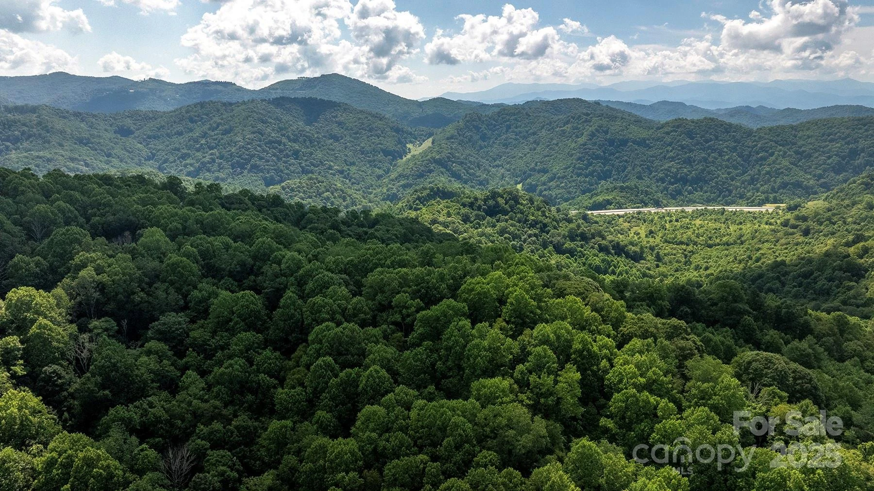 1710 Roaring Fork Road - Photo 5