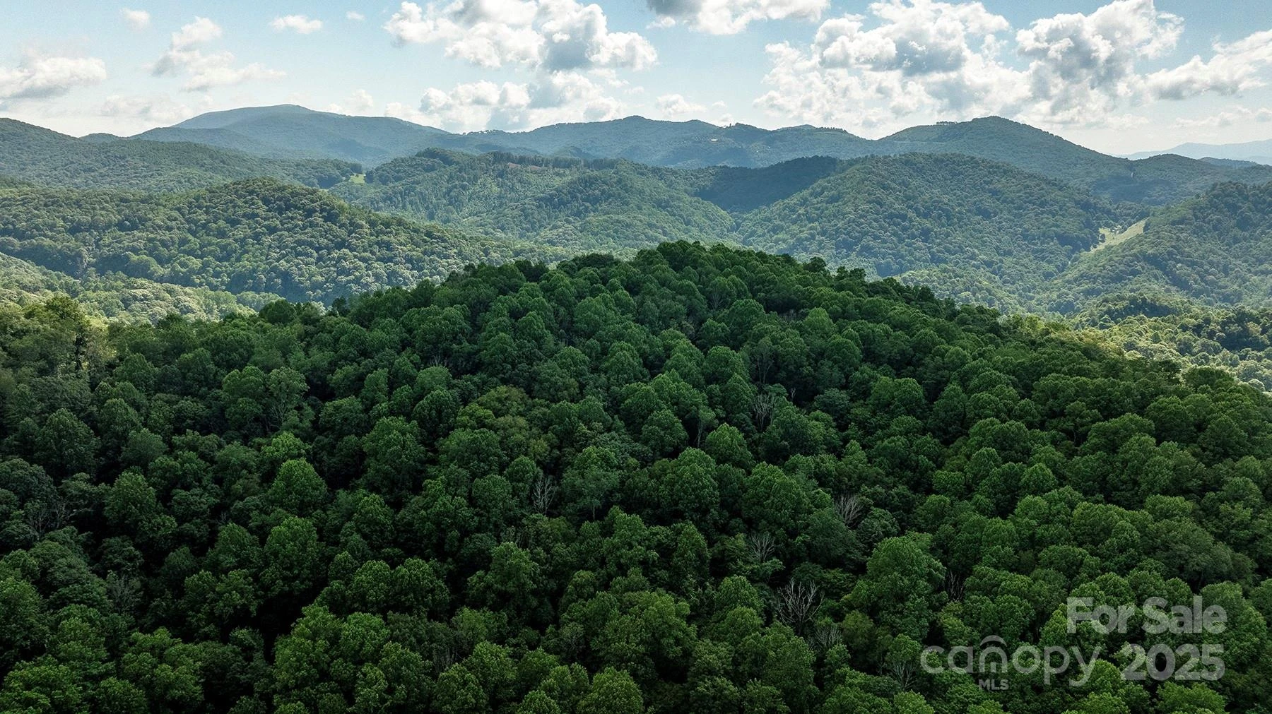 1710 Roaring Fork Road - Photo 6