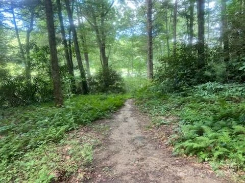 0 Mountain River Place - Photo 12
