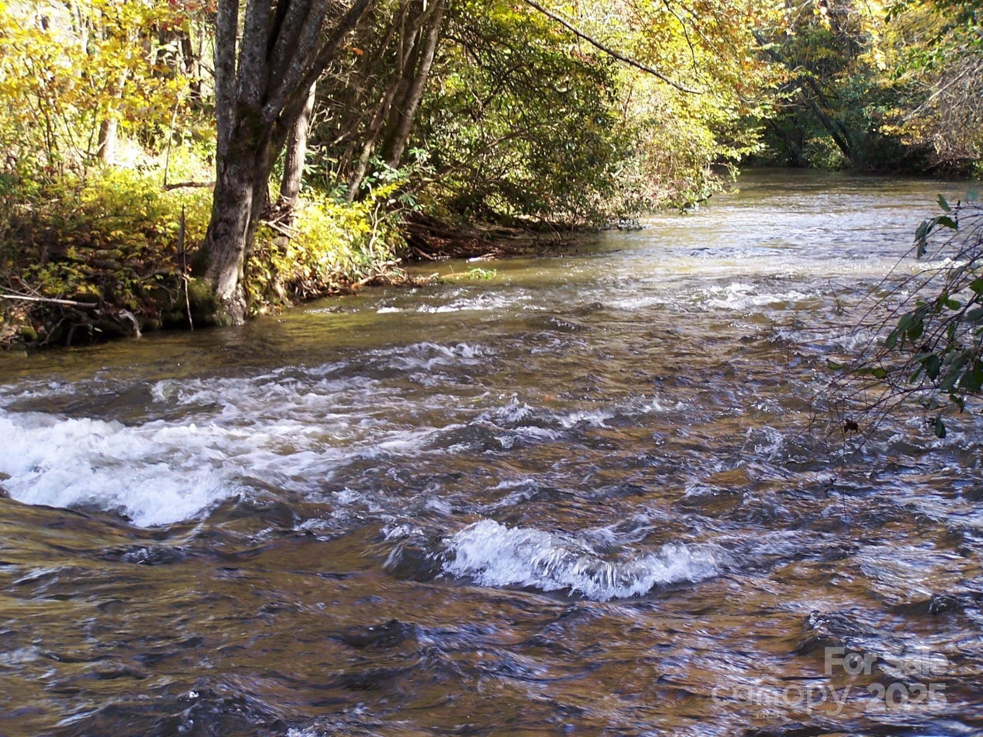 0 Mountain River Place - Photo 6