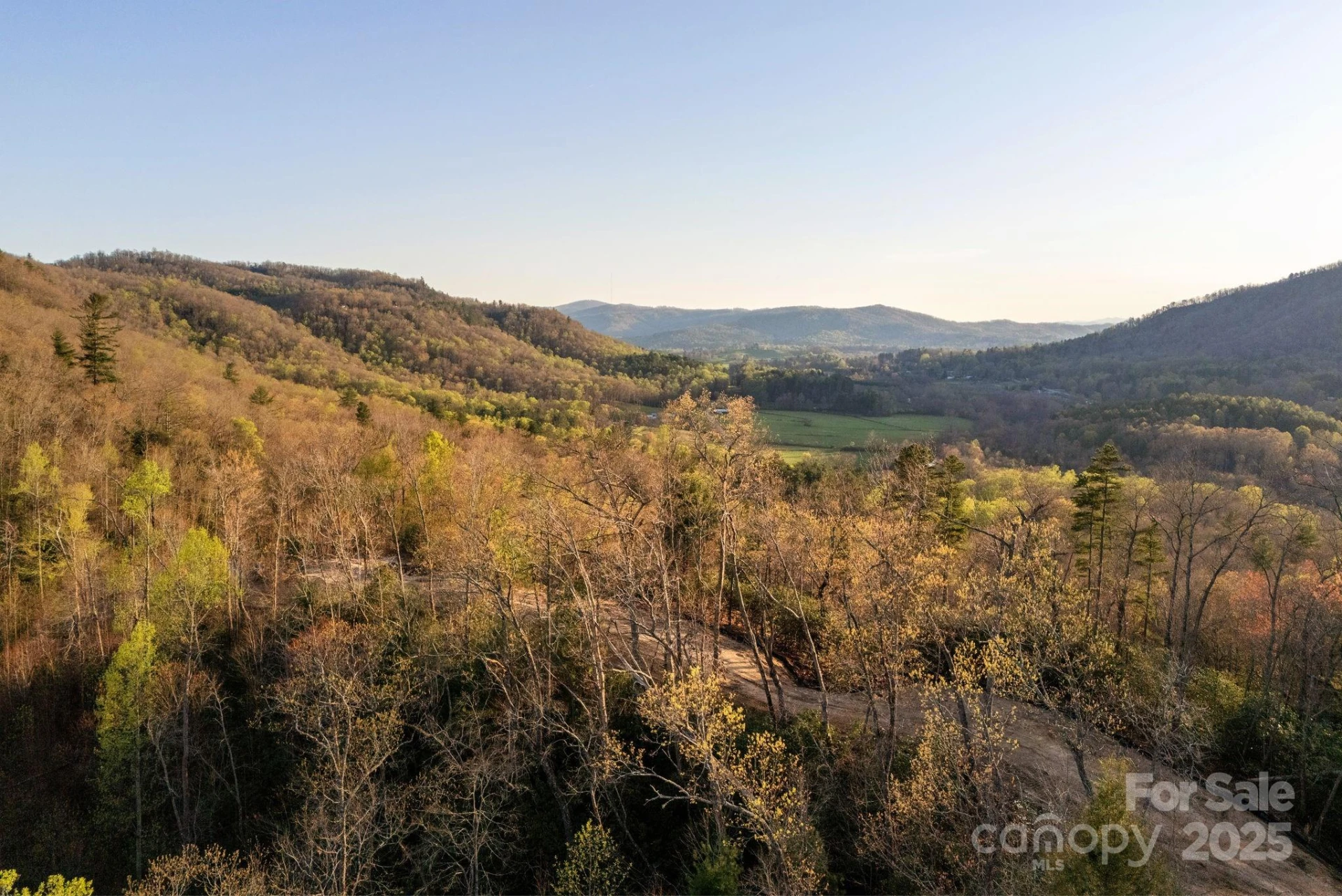 Lot # 1 Masterpiece View Drive #1 - Photo 26