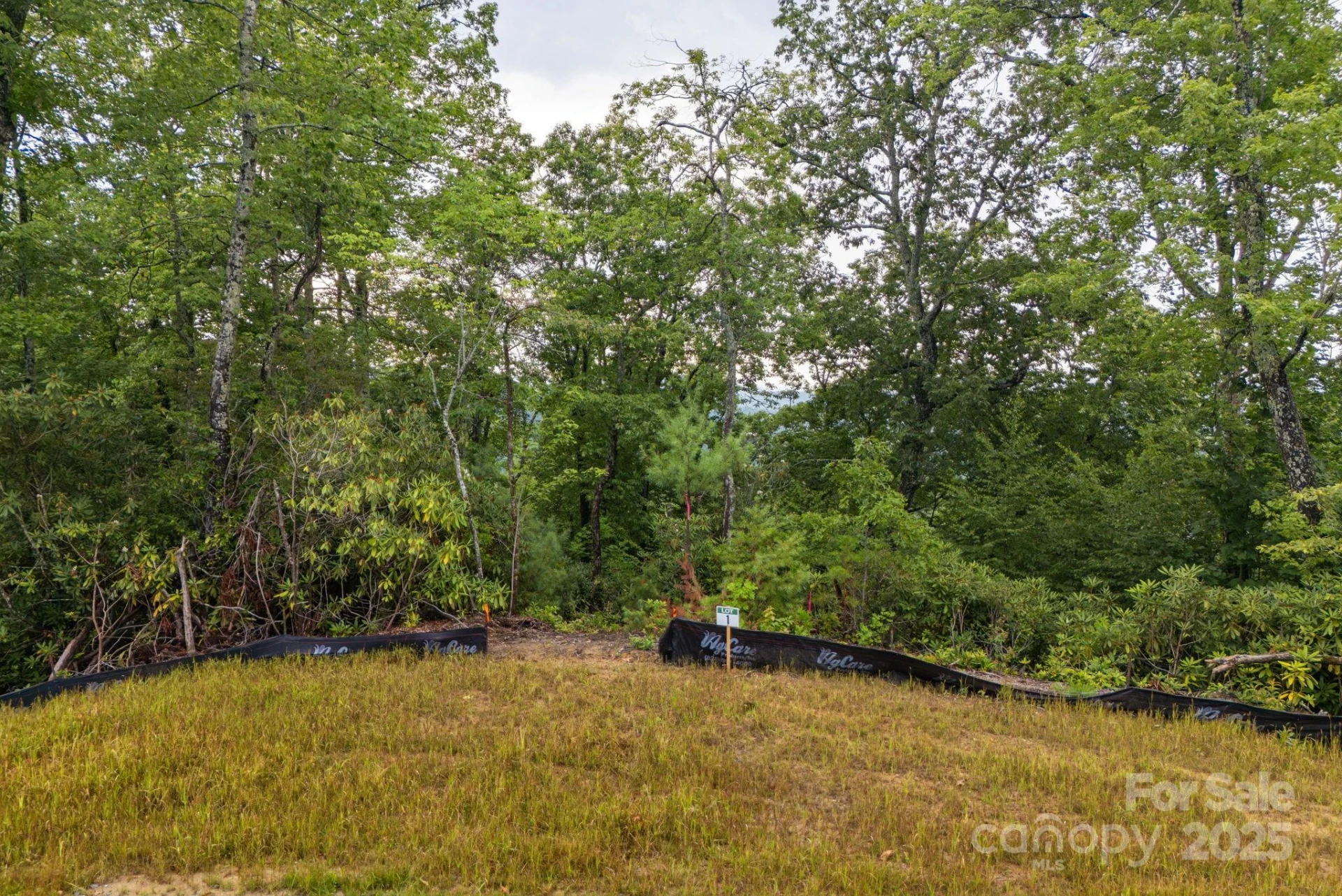Lot # 1 Masterpiece View Drive #1 - Photo 30