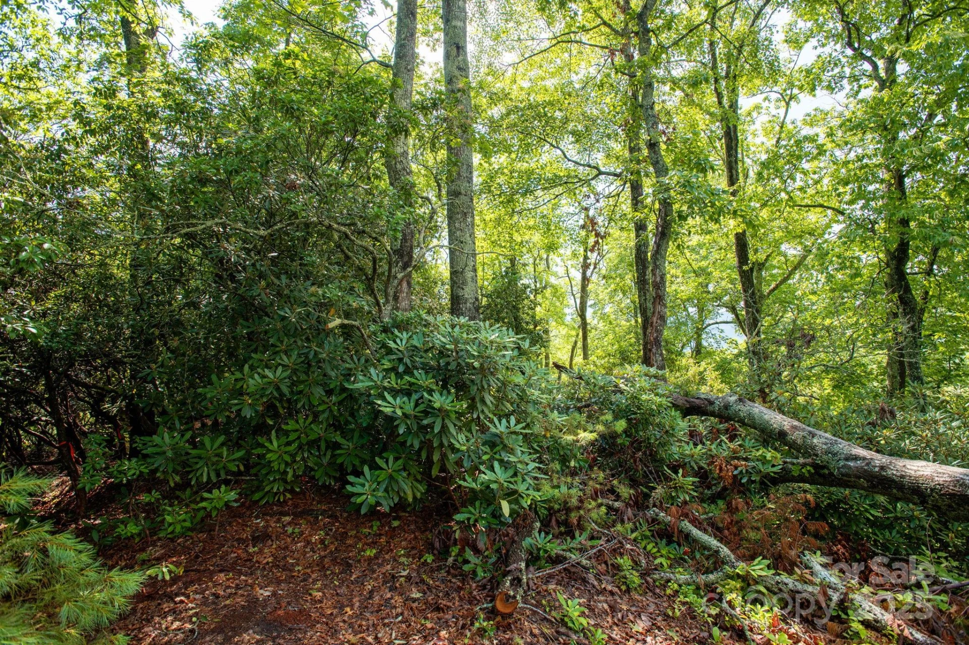 Lot # 1 Masterpiece View Drive #1 - Photo 5